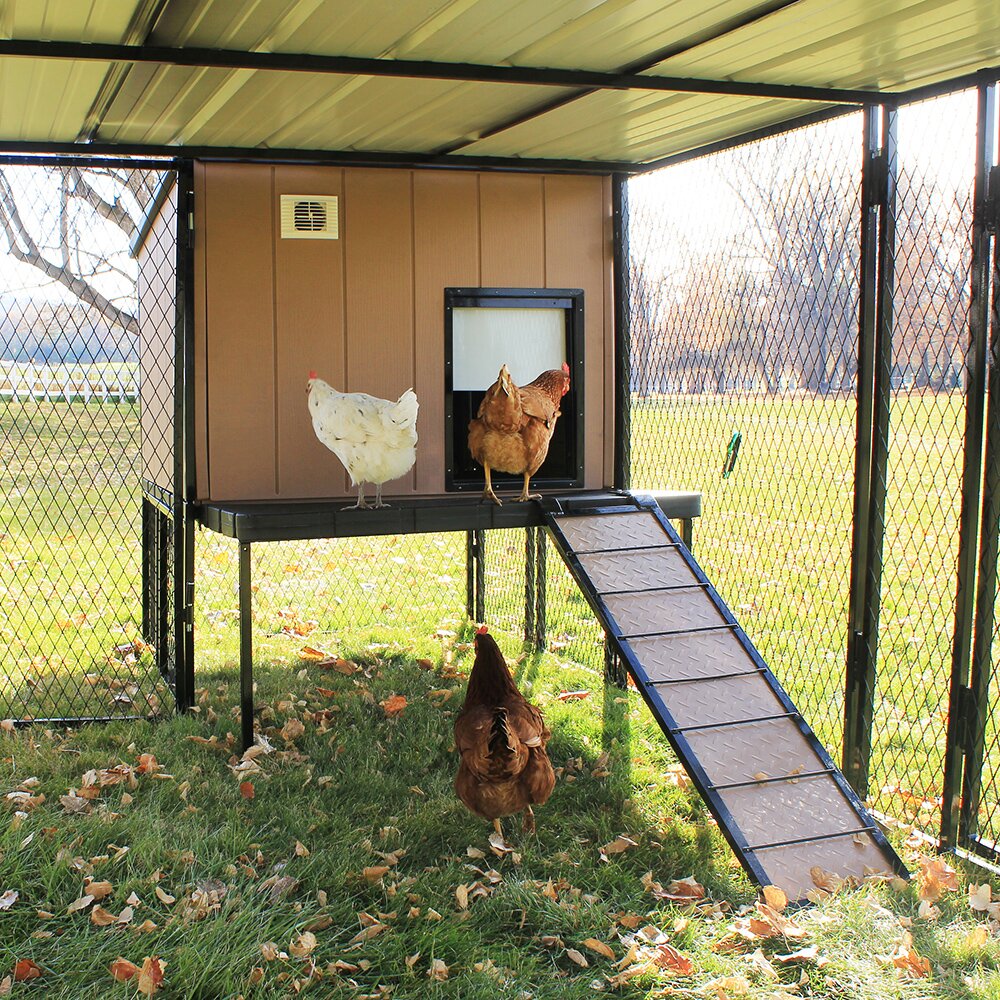 K9 Kennel Urban Coop with Chicken Run | Wayfair.ca