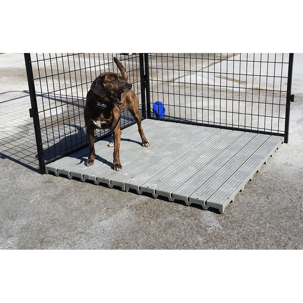 K9 Kennel Section Yard Kennel Raised Flooring System & Reviews Wayfair