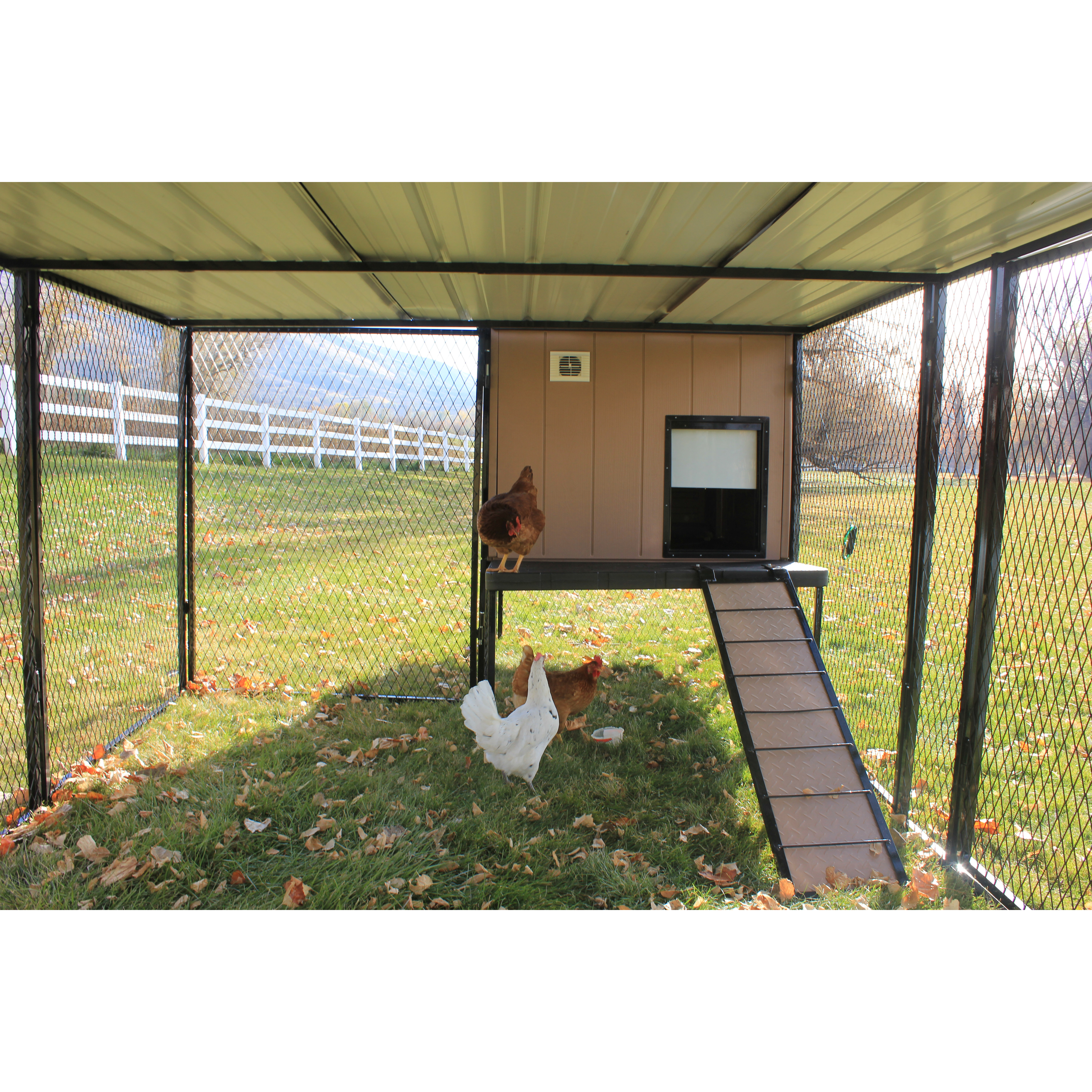 K9 Kennel Urban Coop with Chicken Run Wayfair.ca