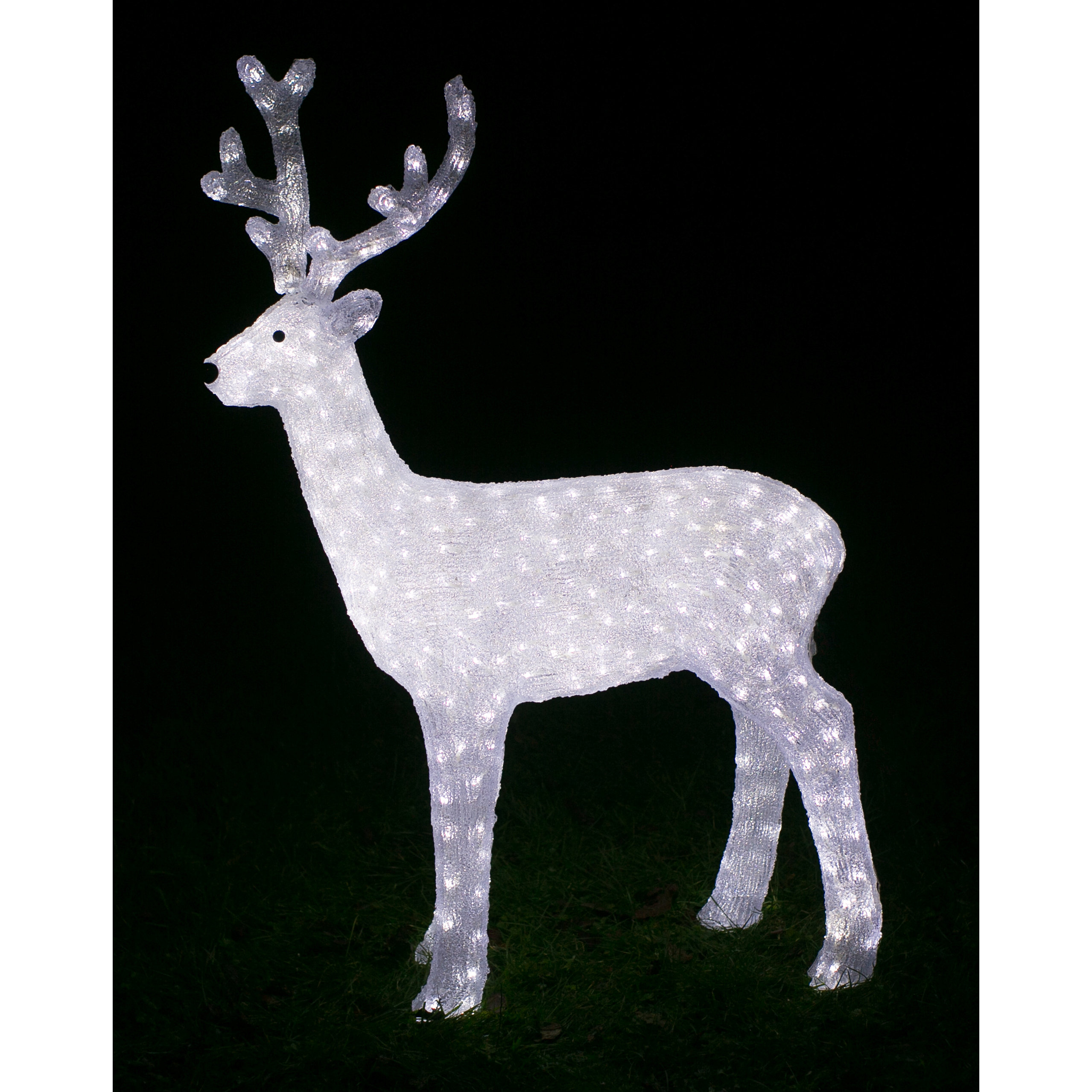 Derry's Christmas Reindeer Lighted Display Wayfair UK