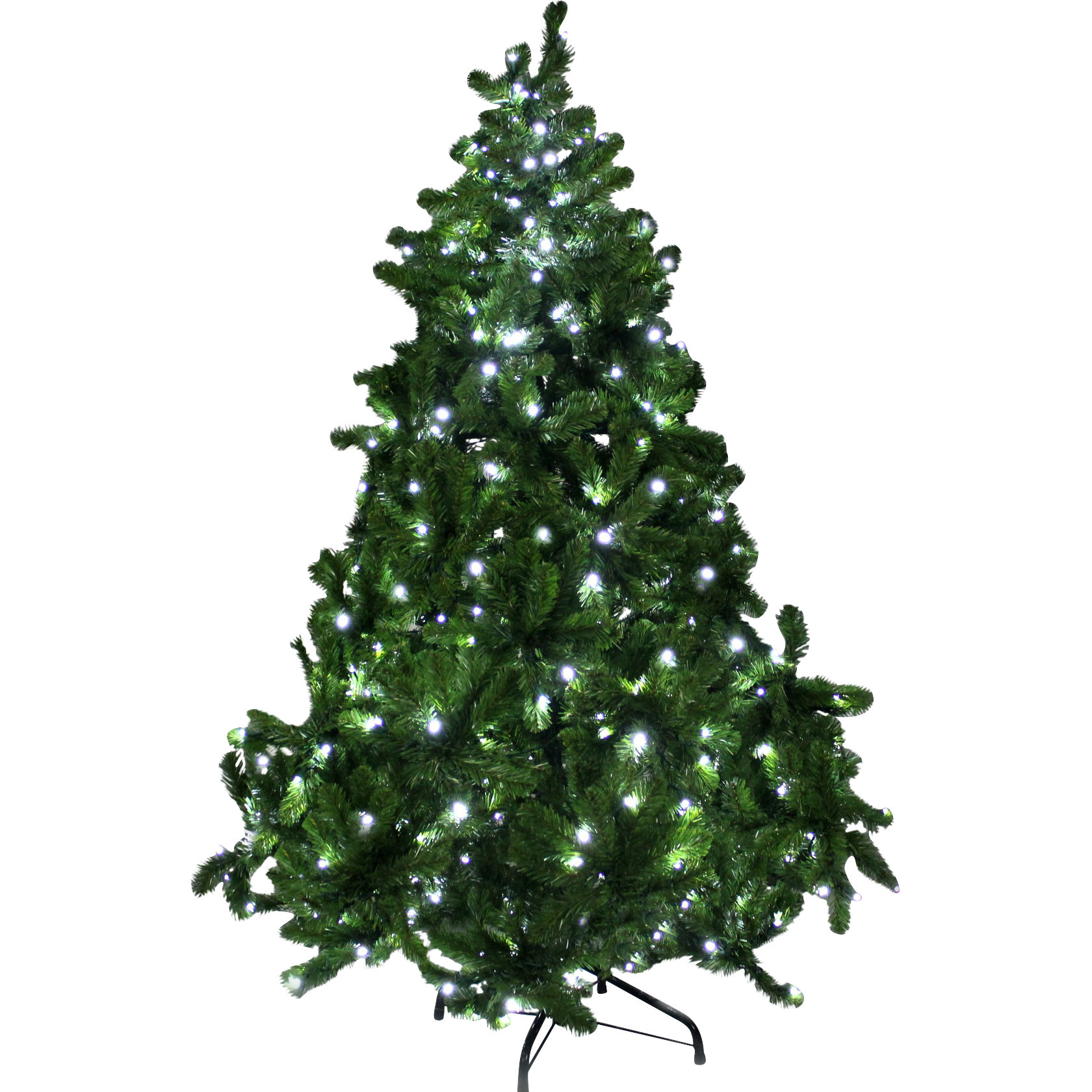 queens of christmas 6 pre lit sequoia tree with pure queens of christmas 6 pre lit sequoia tree with pure