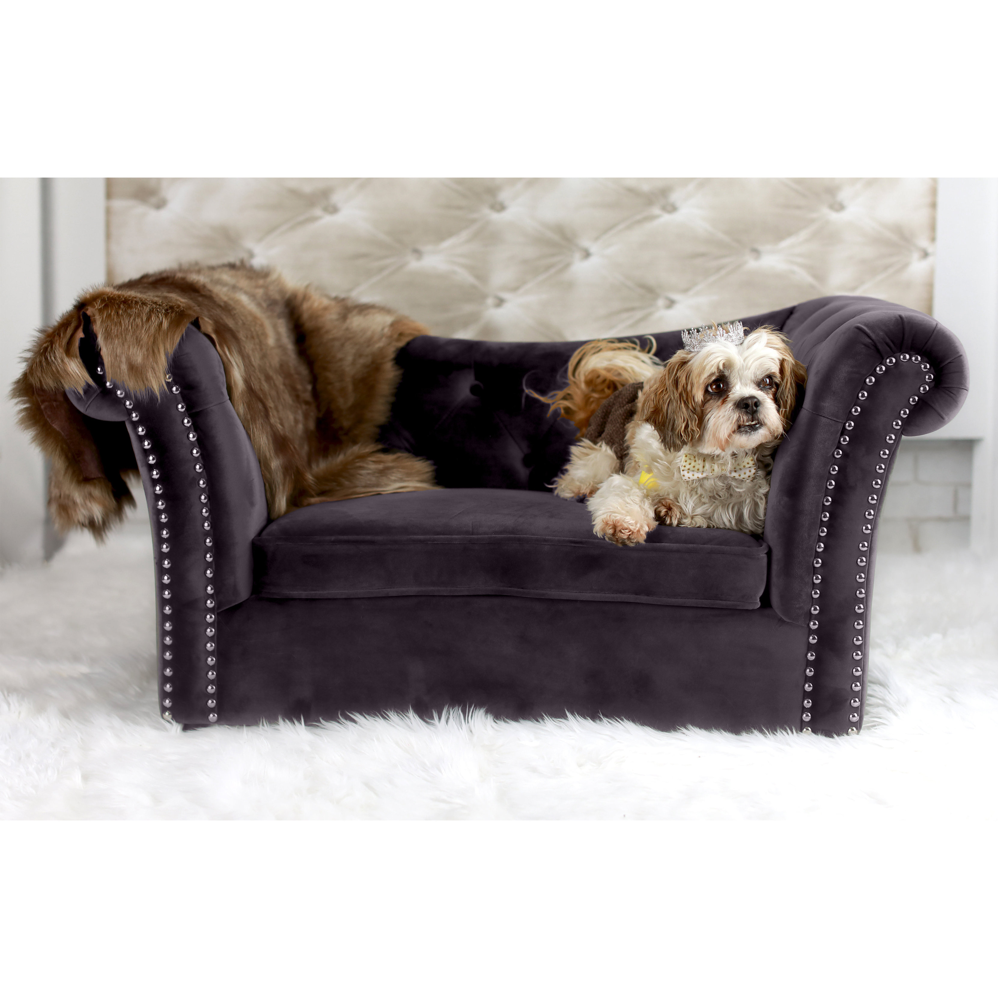 TOV Dachshund Dog Sofa & Reviews Wayfair