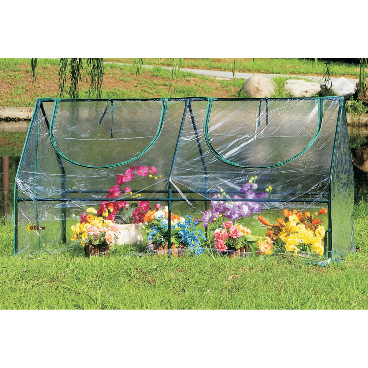 OGrow OGrow 6 Ft. W x 3 Ft. D Plastic Mini Greenhouse & Reviews Wayfair