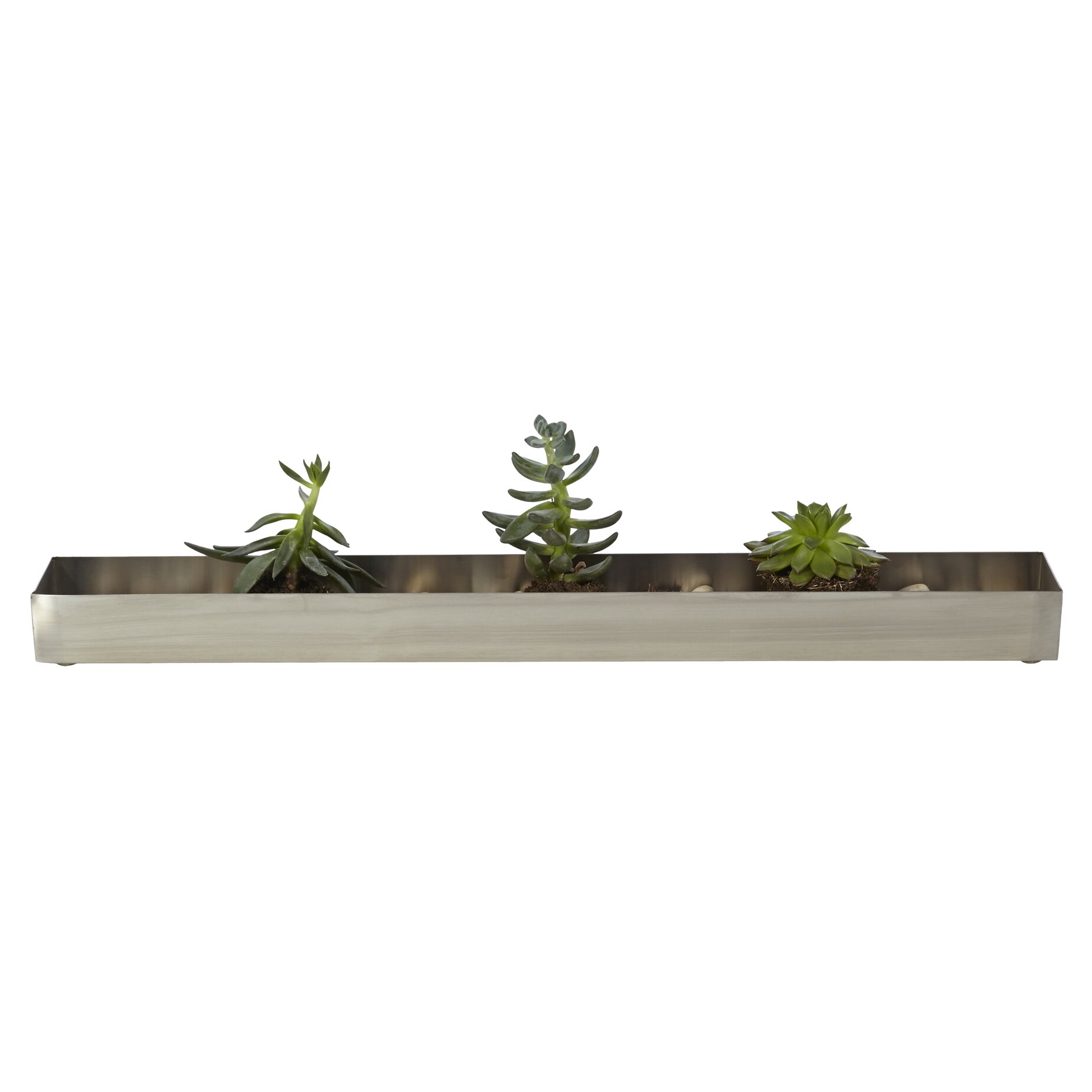 Gus Modern Rectangular Planter Box Reviews Wayfair Ca   Rectangular%2BFruit%2BTrough%2BPlanter 