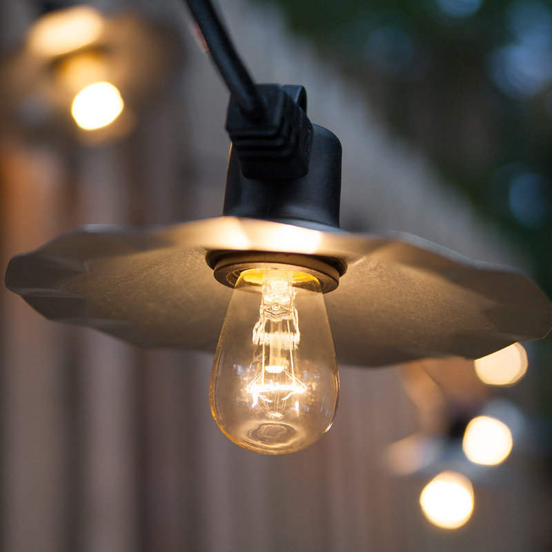 wintergreen lighting 15 light globe string lights wayfair wintergreen lighting 15 light globe string lights wayfair