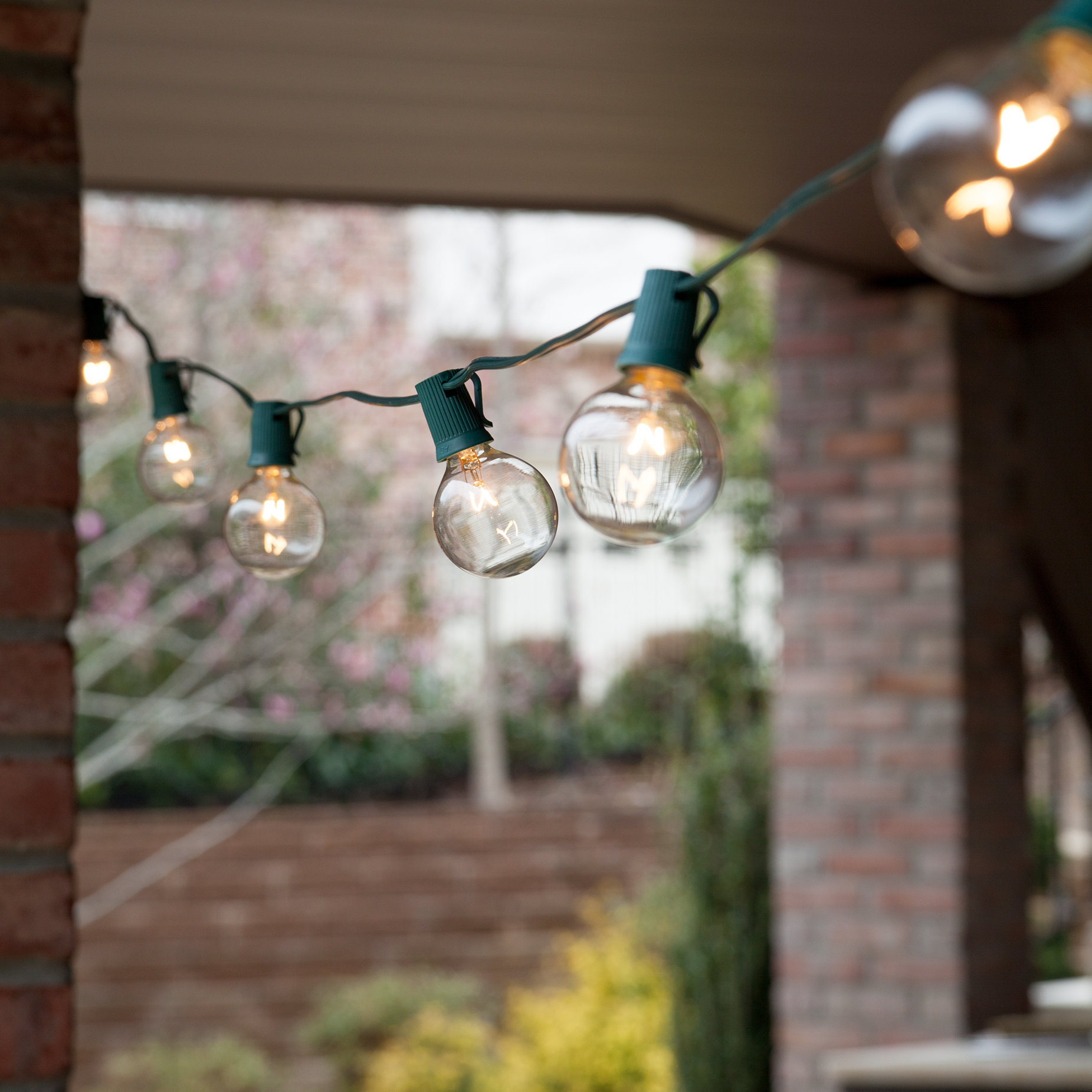 wintergreen lighting 25 light 25 ft globe string lights wintergreen lighting 25 light 25 ft globe string lights