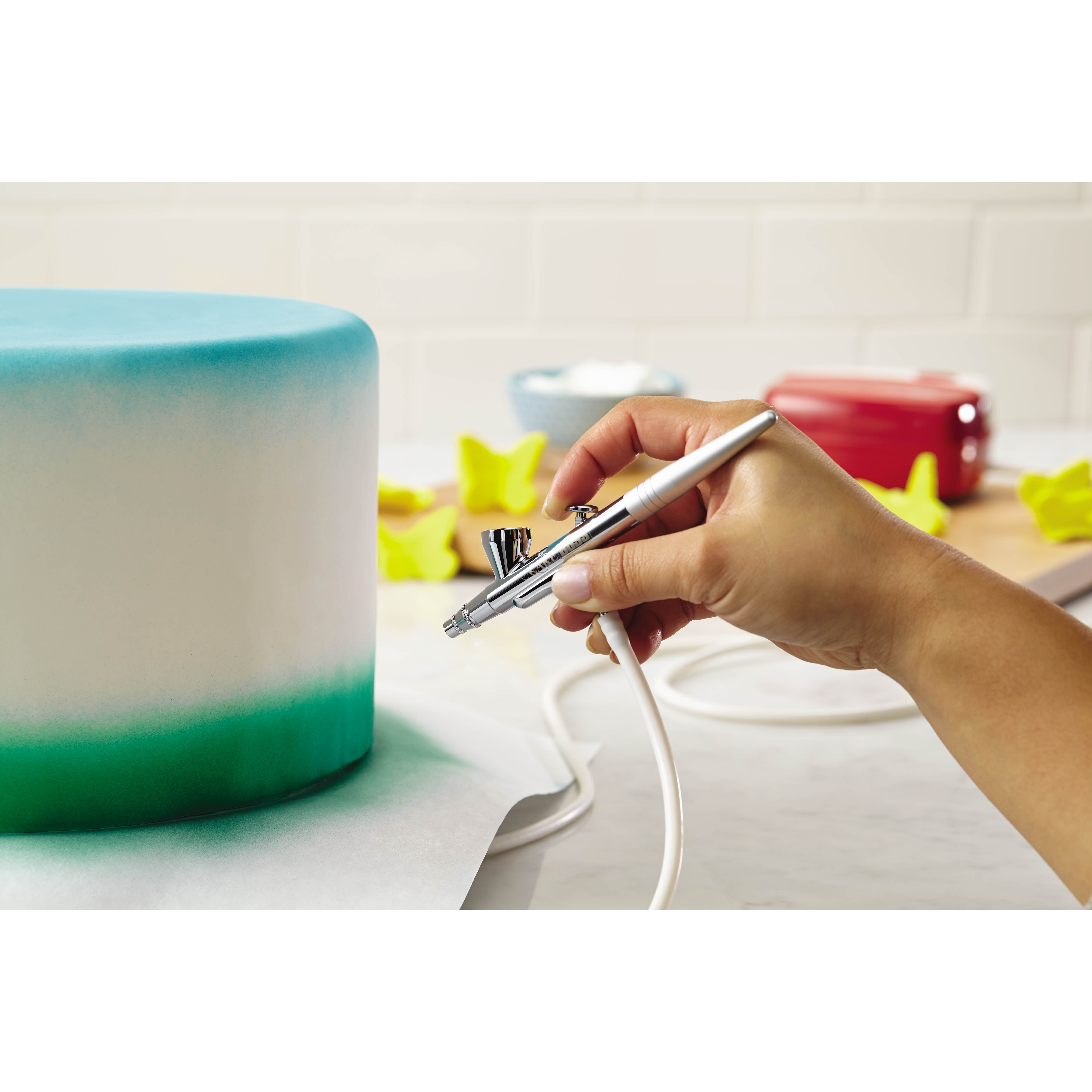 Cake Boss Airbrushing Kit & Reviews Wayfair