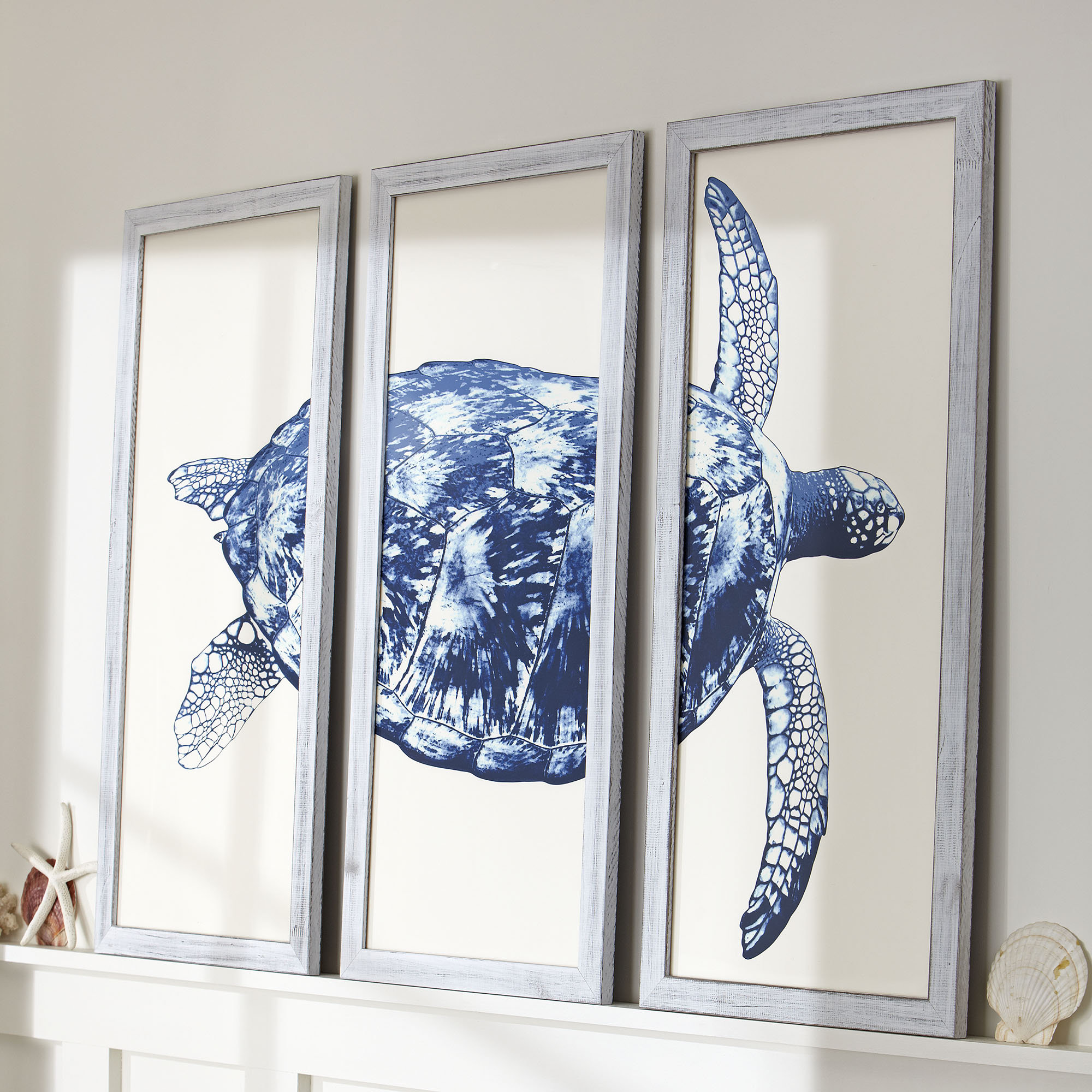 Birch Lane Sea Turtle Triptych Framed Print & Reviews Wayfair