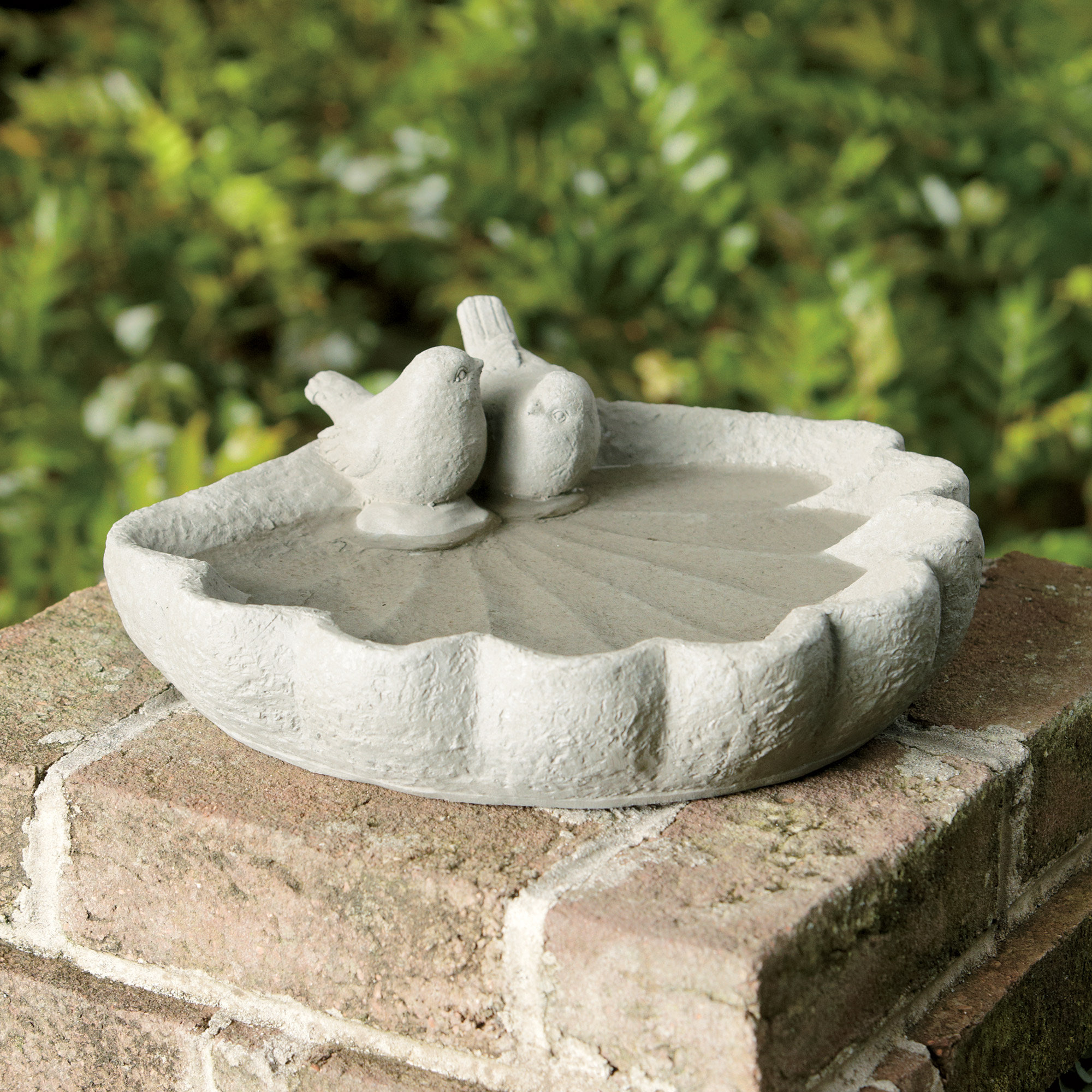Birch Lane Sparrow Bird Bath & Reviews Wayfair