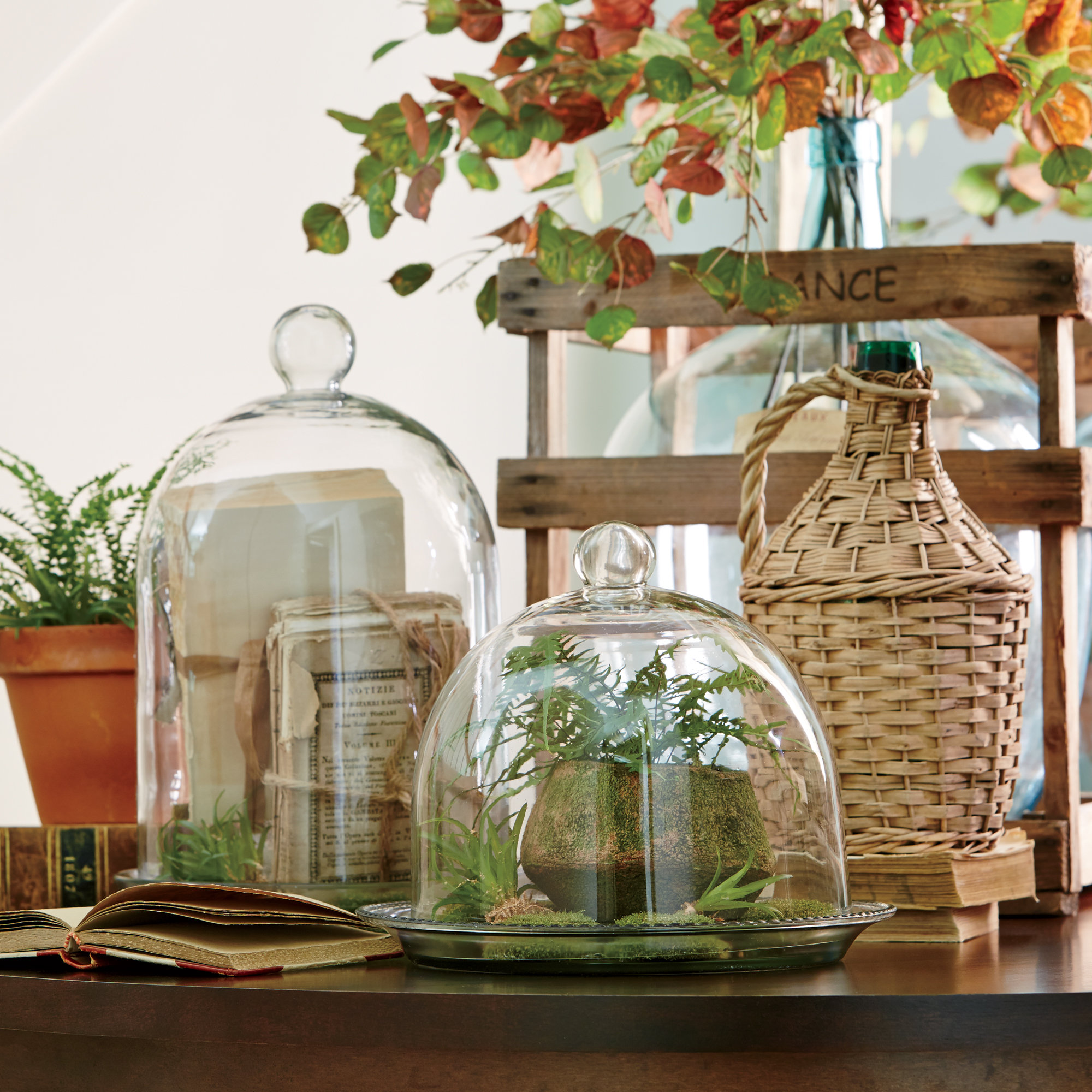 Birch Lane Glass Bell Jar Terrarium & Reviews Wayfair
