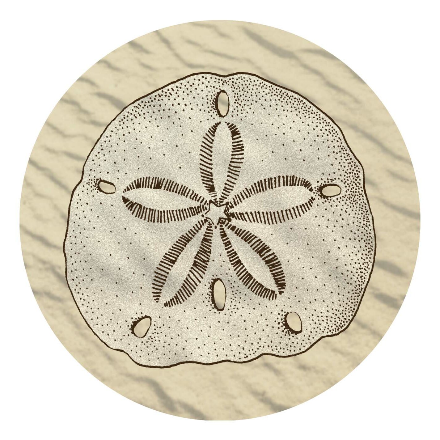 Thirstystone Sand Dollar Occasions Coaster V50