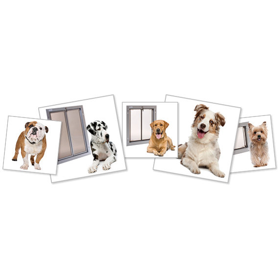 PlexiDor Performance Pet Door Wall Mount & Reviews Wayfair
