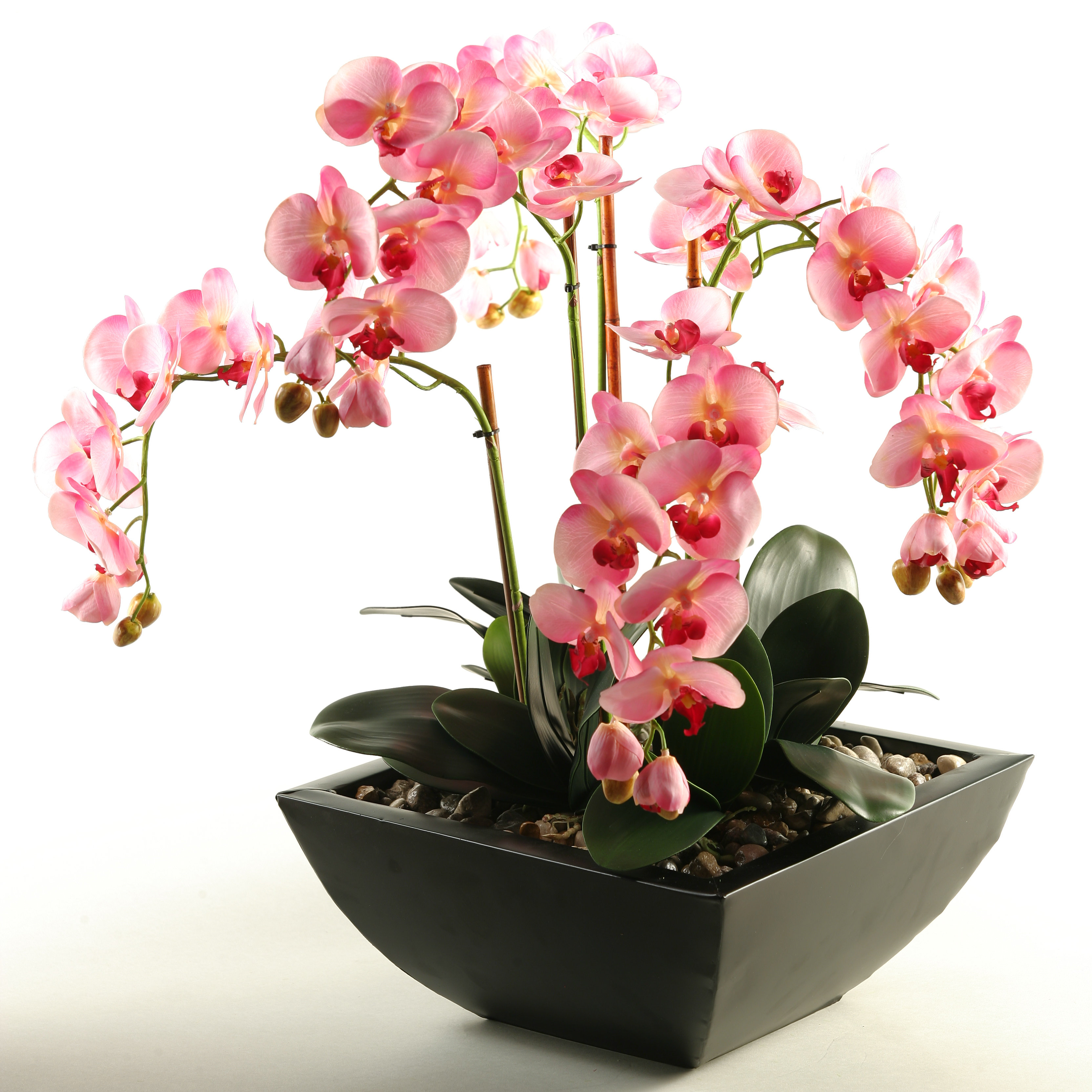 D & W Silks Weeping Phael Orchids in Square Metal Planter Wayfair