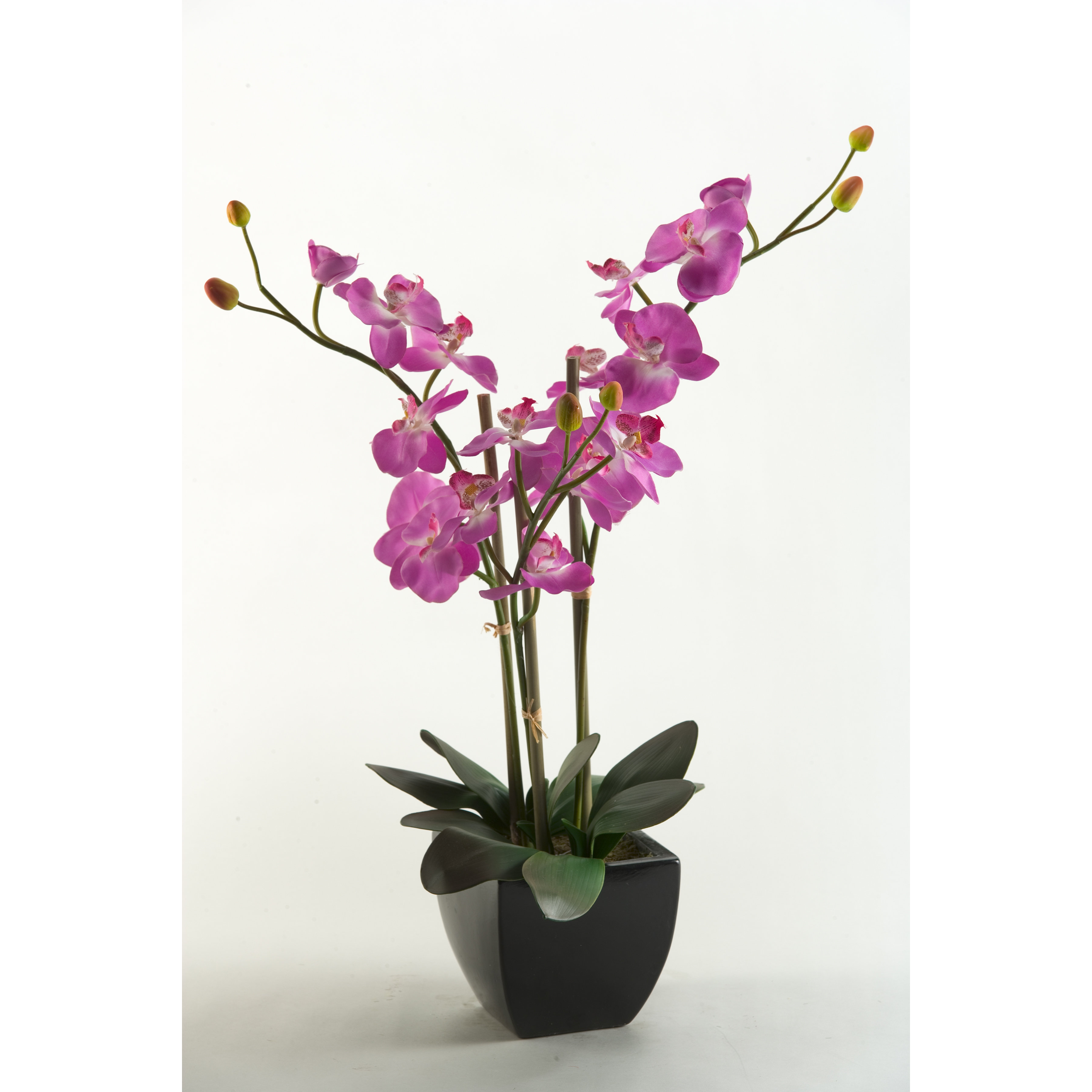 D & W Silks Phael Orchids Floor Plant in Planter & Reviews Wayfair