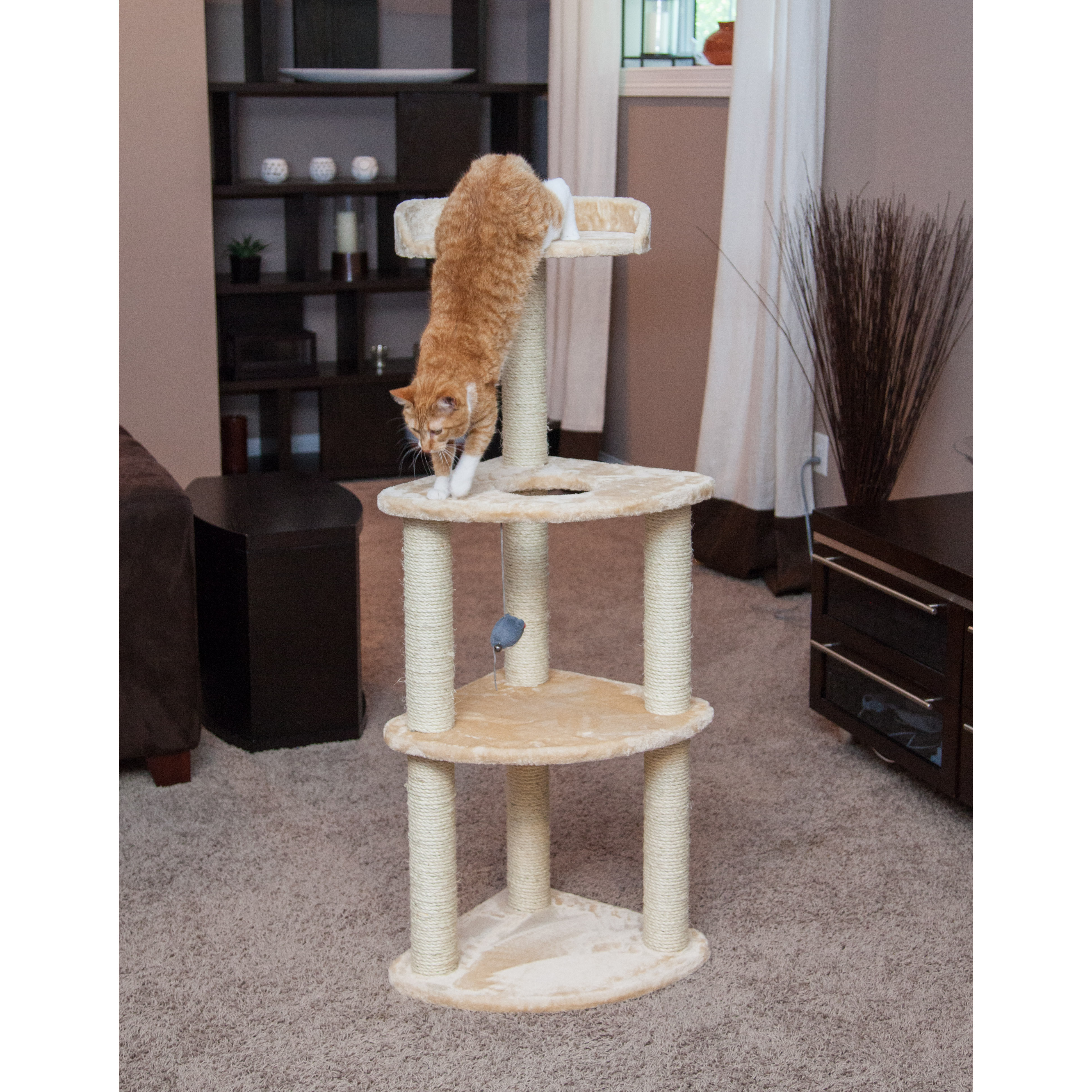 IRIS 50" Carpeted Cat Tree & Reviews Wayfair