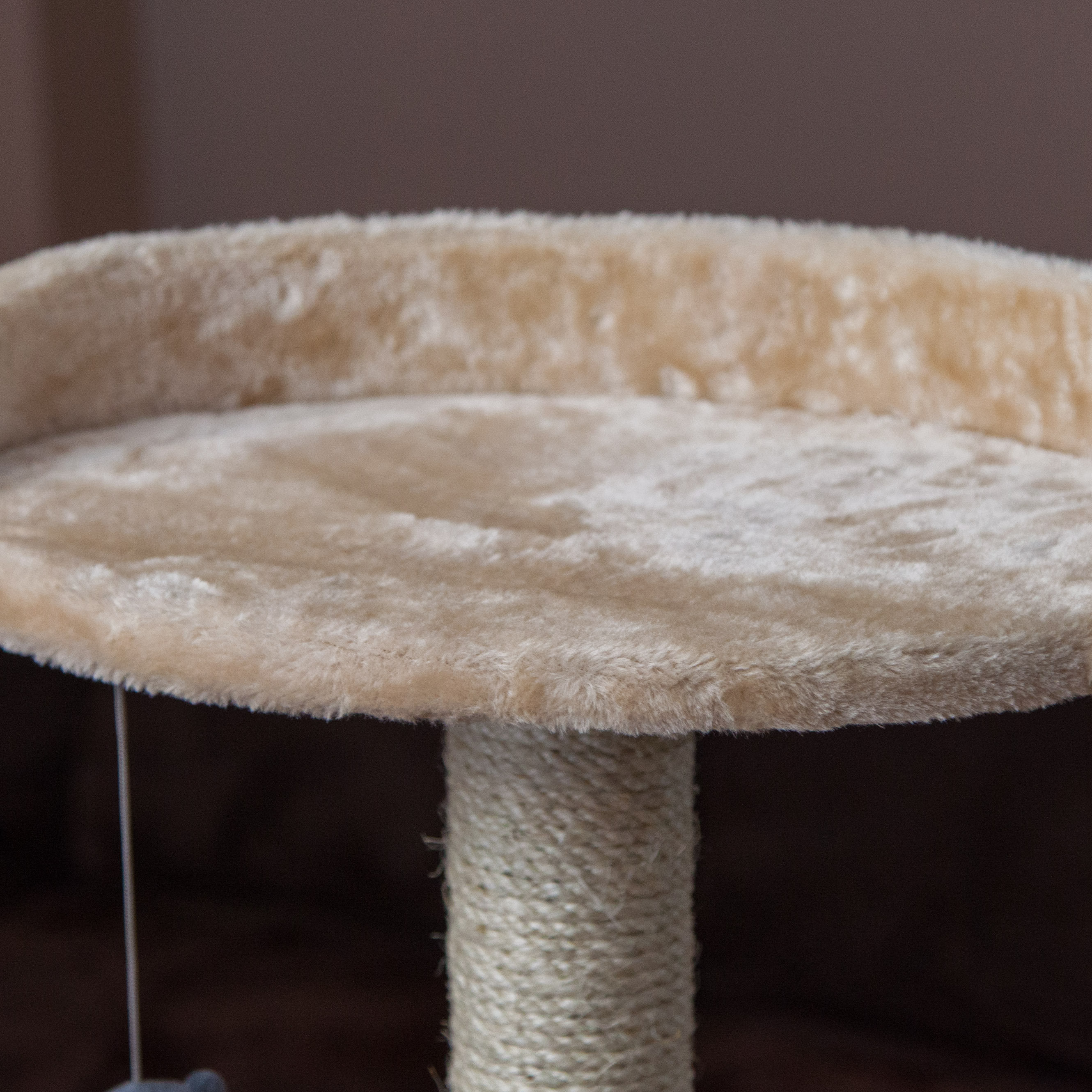 IRIS 50" Carpeted Cat Tree & Reviews Wayfair