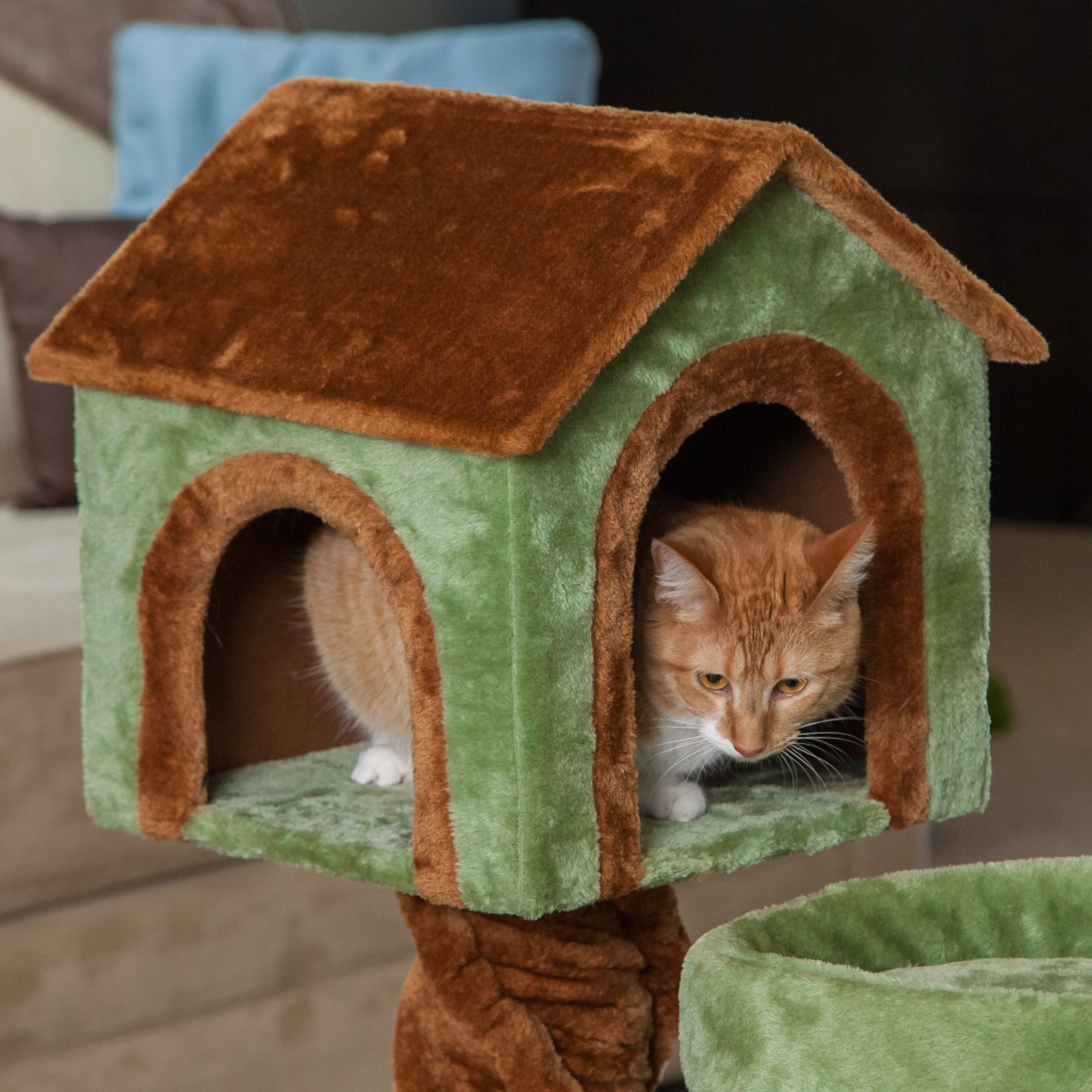 IRIS 41  Carpeted Cat  Tree Reviews Wayfair