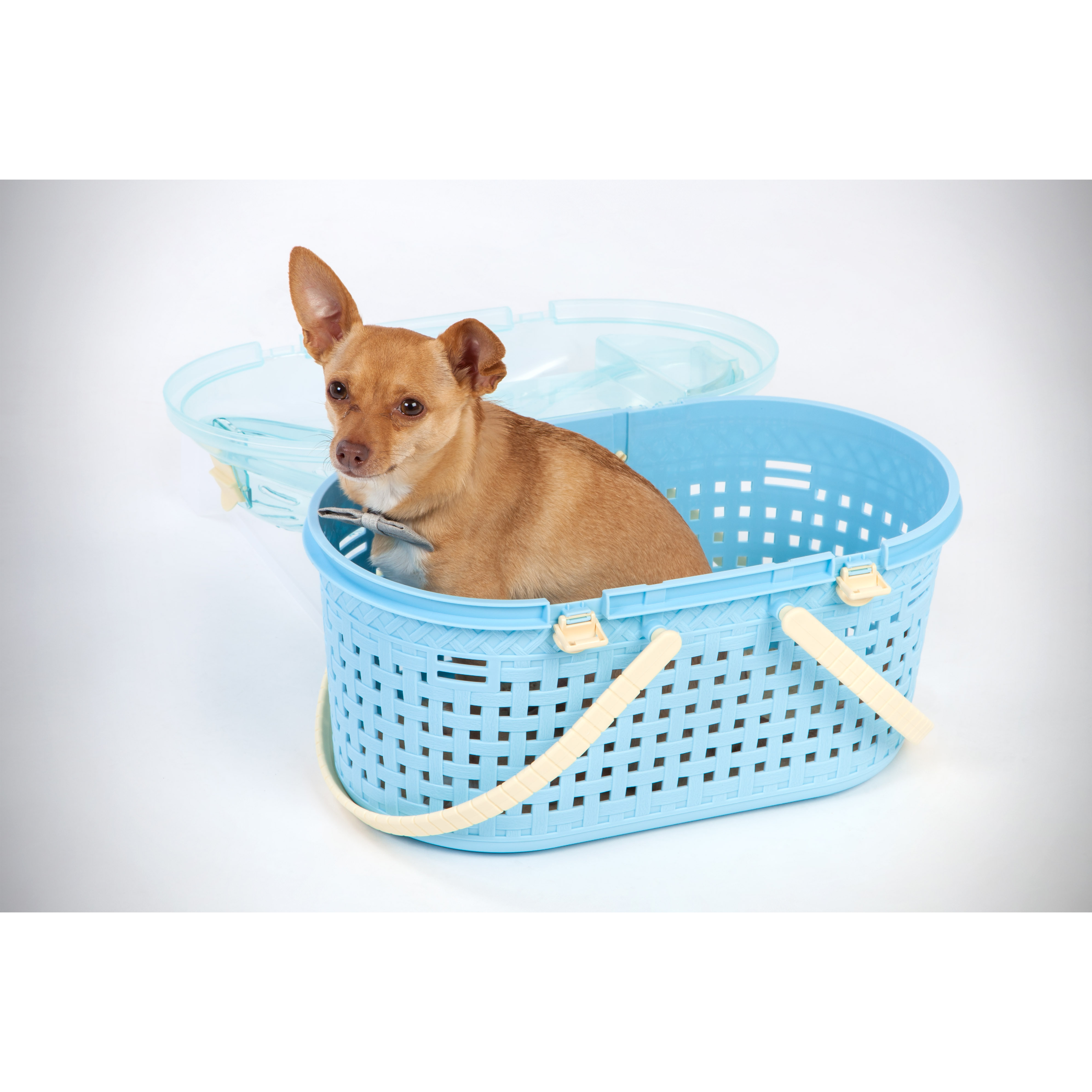 IRIS Pet Carrier & Reviews Wayfair