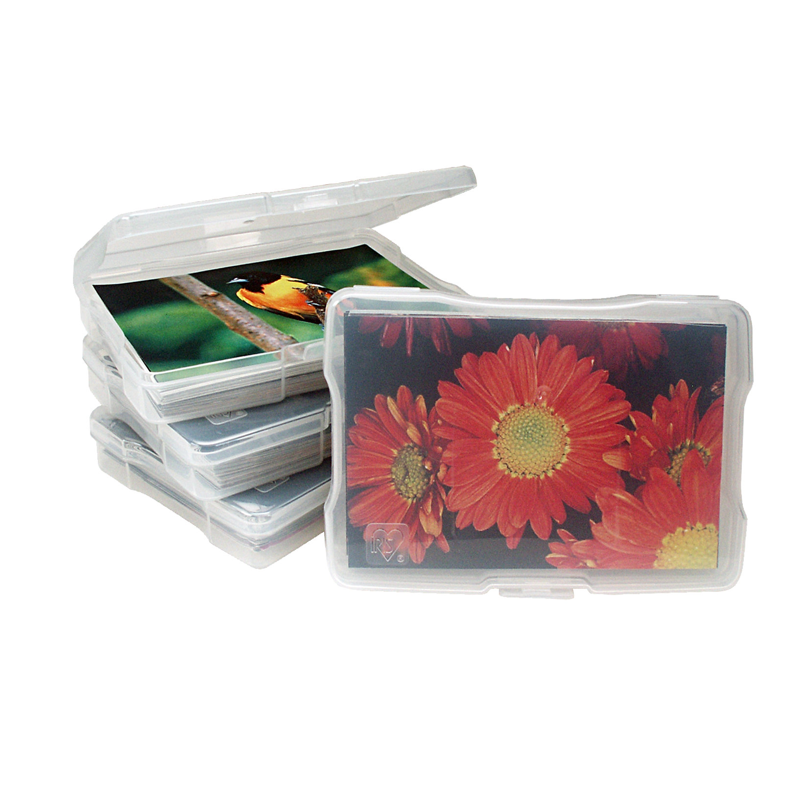 IRIS 4x6 Photo Storage and Craft Case & Reviews Wayfair
