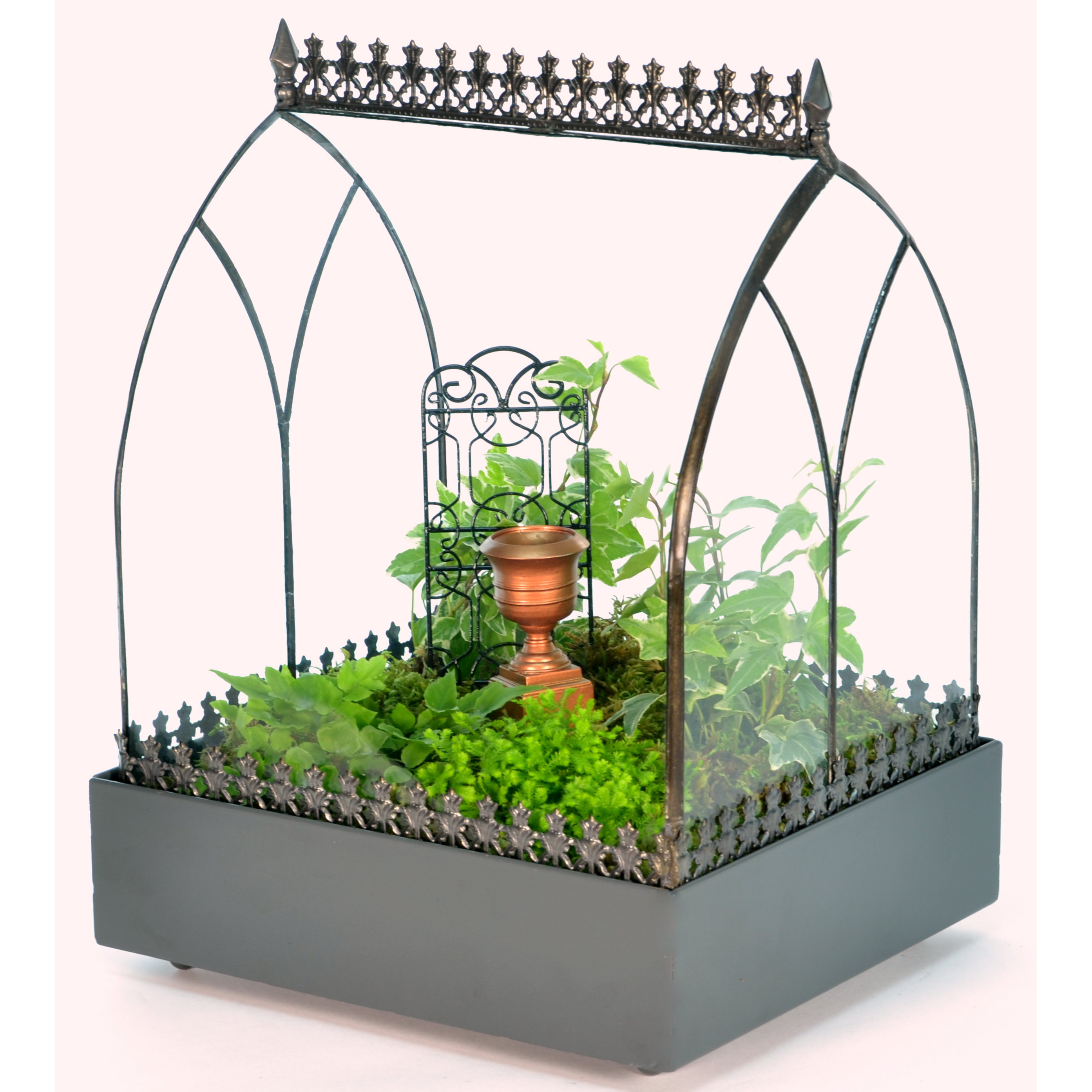 H. Potter Wardian Rectangular Terrarium & Reviews Wayfair