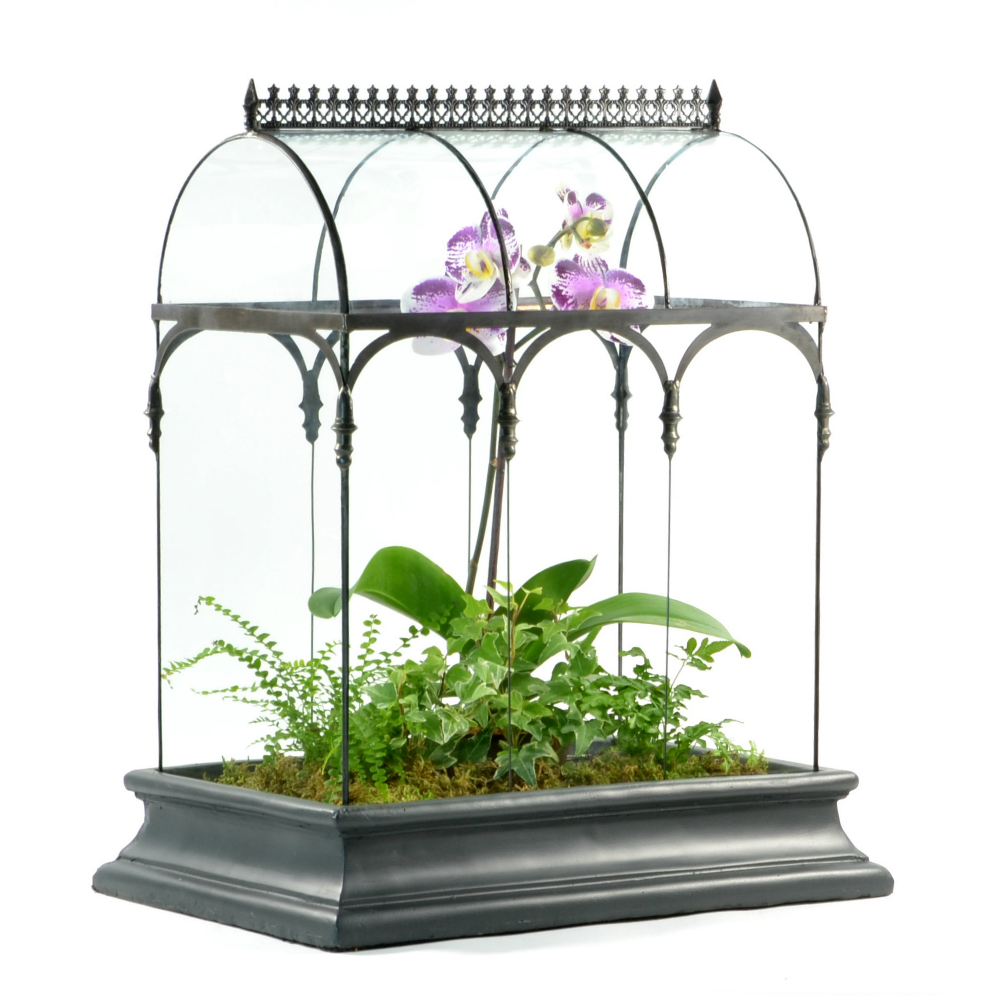 H. Potter Rectangular Terrarium & Reviews Wayfair