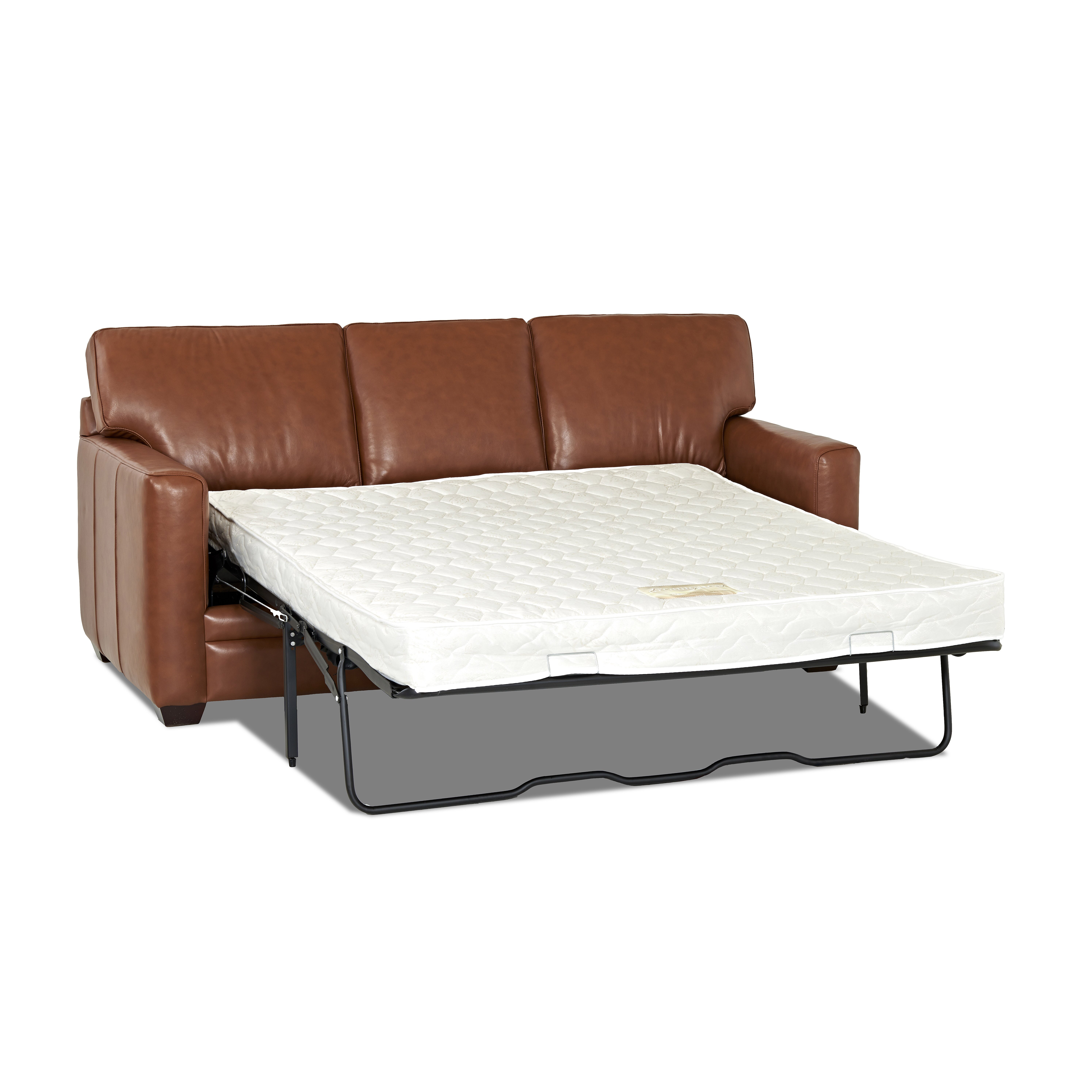 Wayfair Custom Upholstery Carleton Leather Sleeper Sofa & Reviews