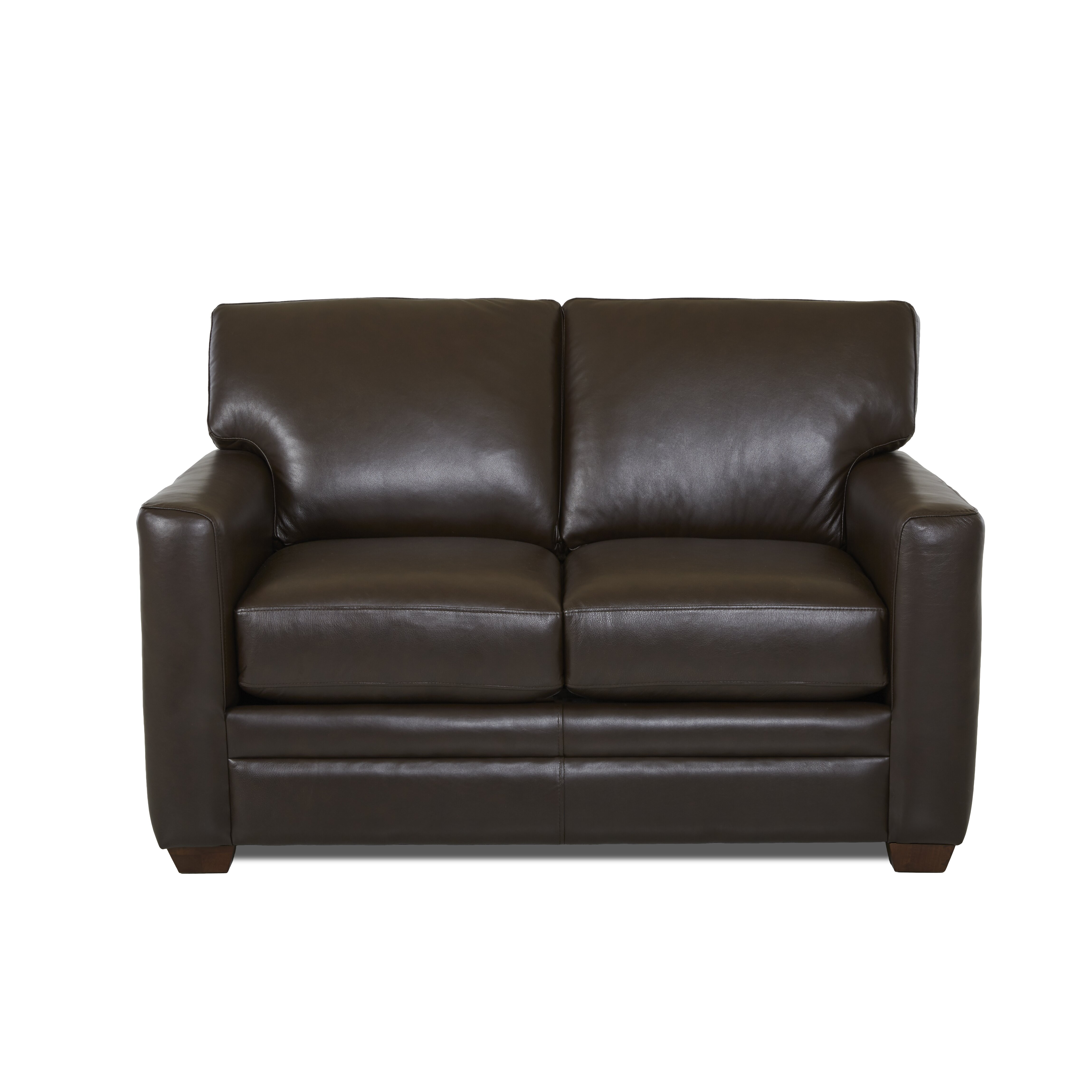 Wayfair Custom Upholstery Carleton Leather Sleeper Sofa & Reviews | Wayfair