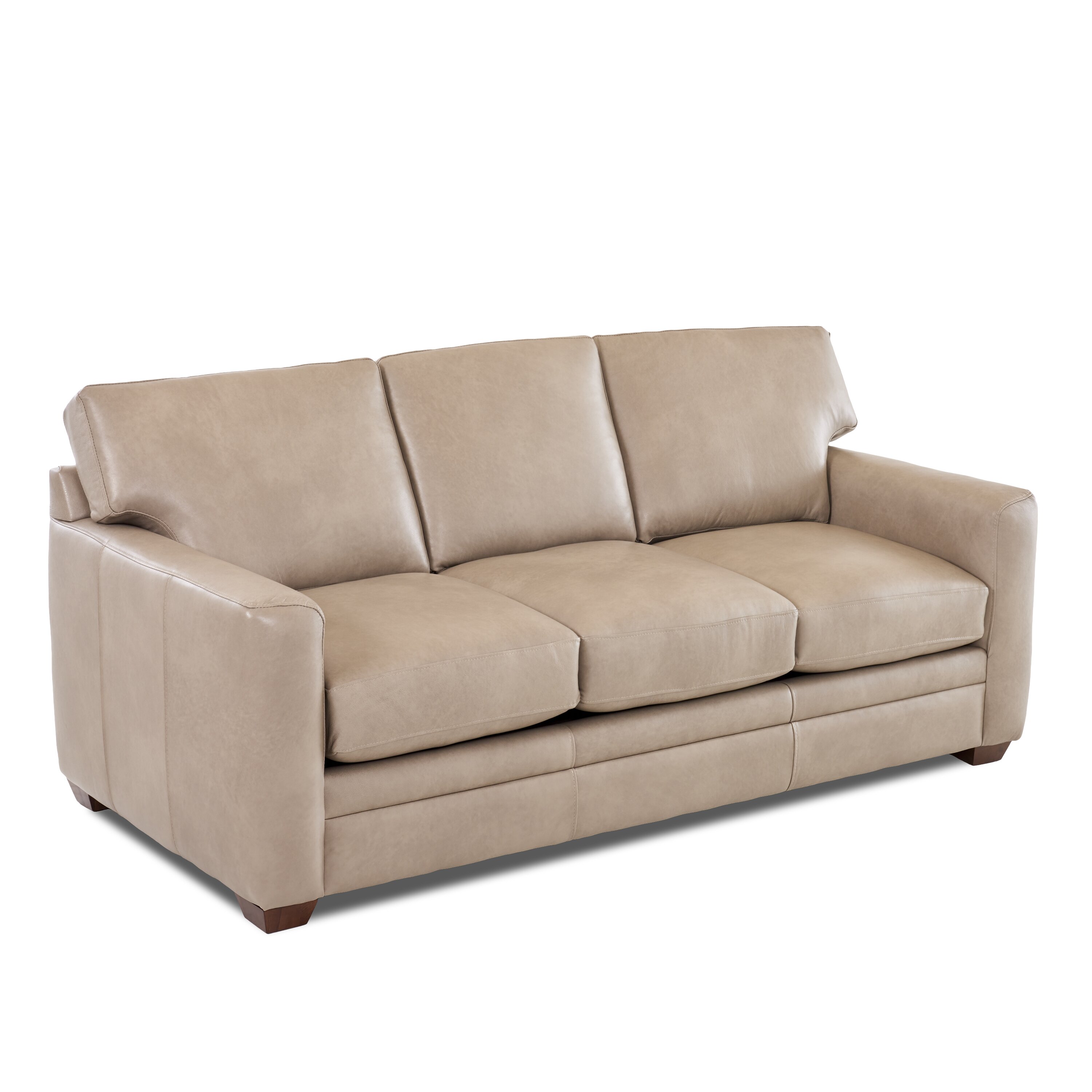 Wayfair Custom Upholstery Carleton Leather Sofa Reviews 