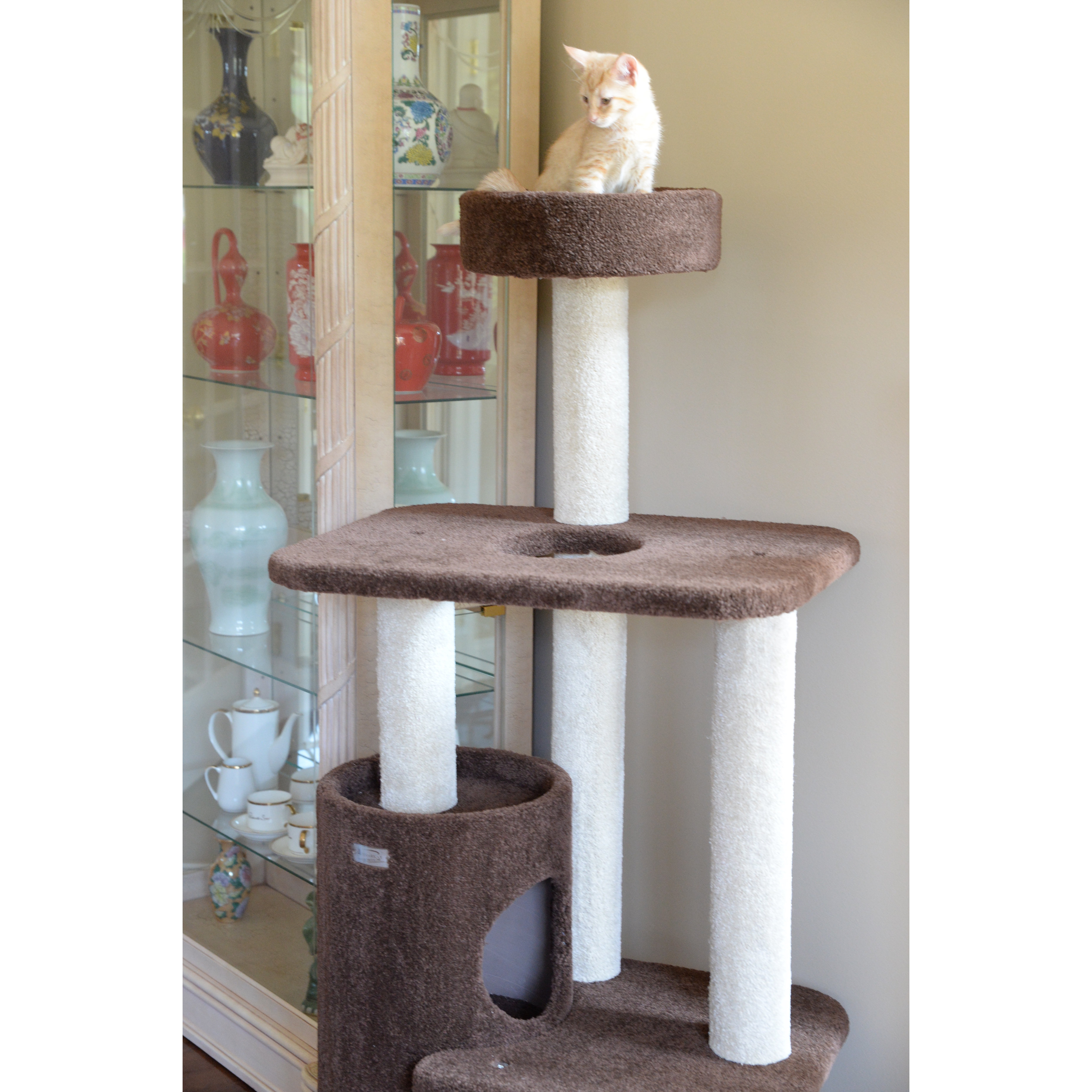 Armarkat 56" Premium Cat Tree & Reviews Wayfair