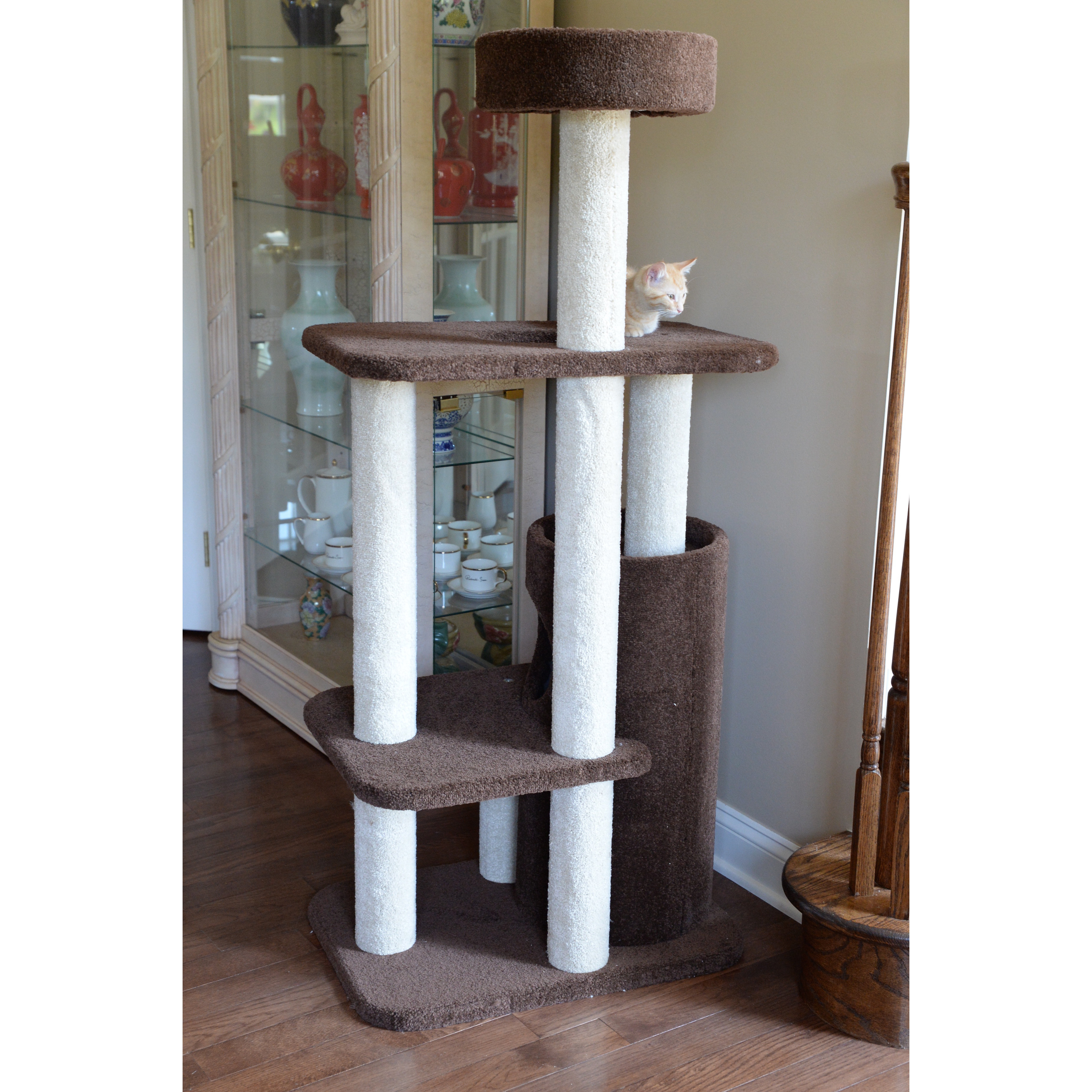Armarkat 56" Premium Cat Tree & Reviews Wayfair
