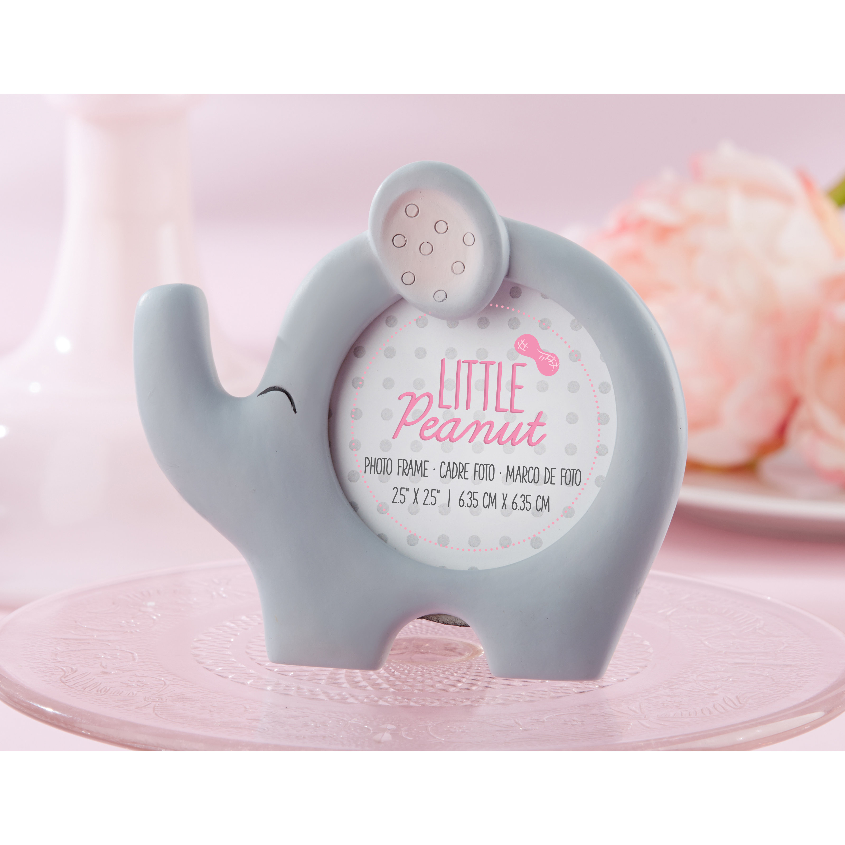 Baby Aspen Little Peanut Elephant Picture Frame Wayfair