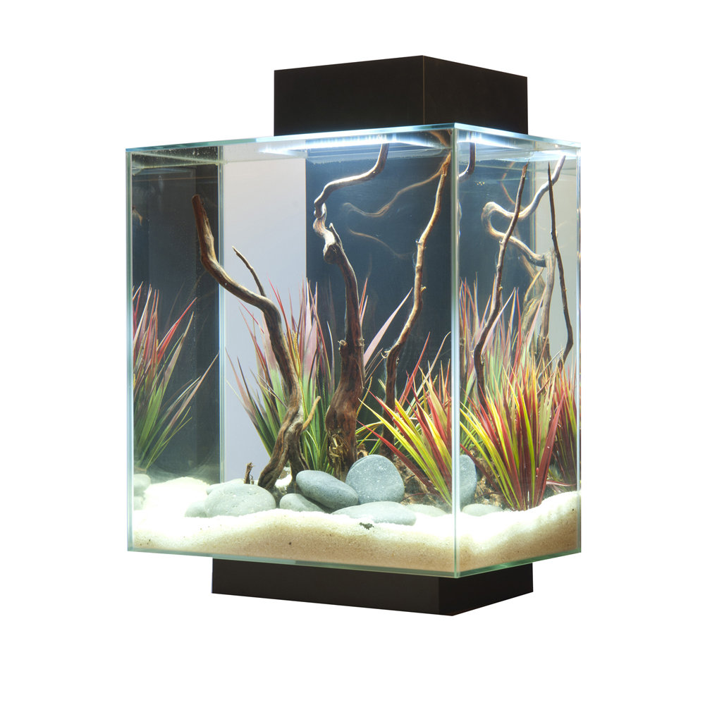 Hagen 12 Gallon Fluval Edge Aquarium Kit & Reviews Wayfair