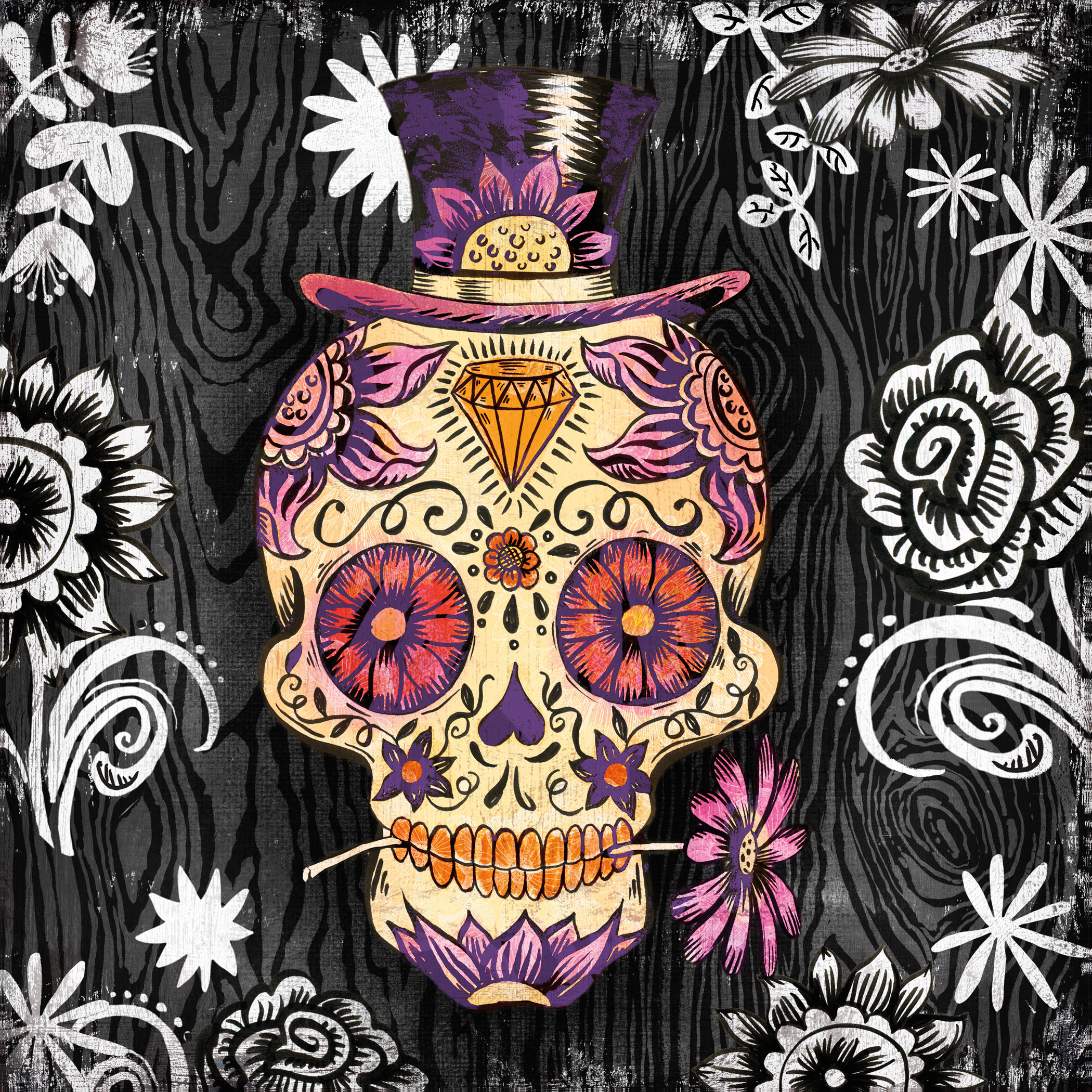 Portfolio Canvas Sugar Skull Daisy by Geoff Allen Graphic Art on
