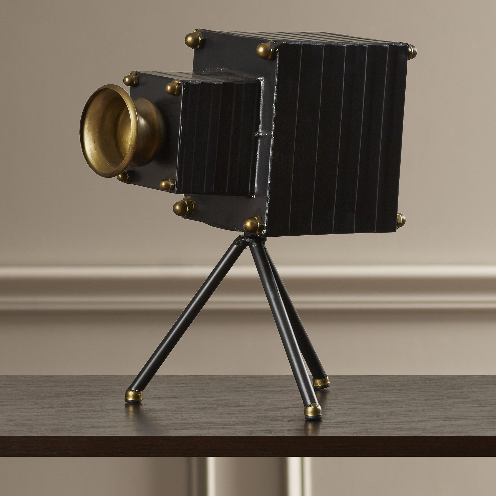 Three Posts Saratoga Decorative Portrait Camera & Reviews Wayfair.ca