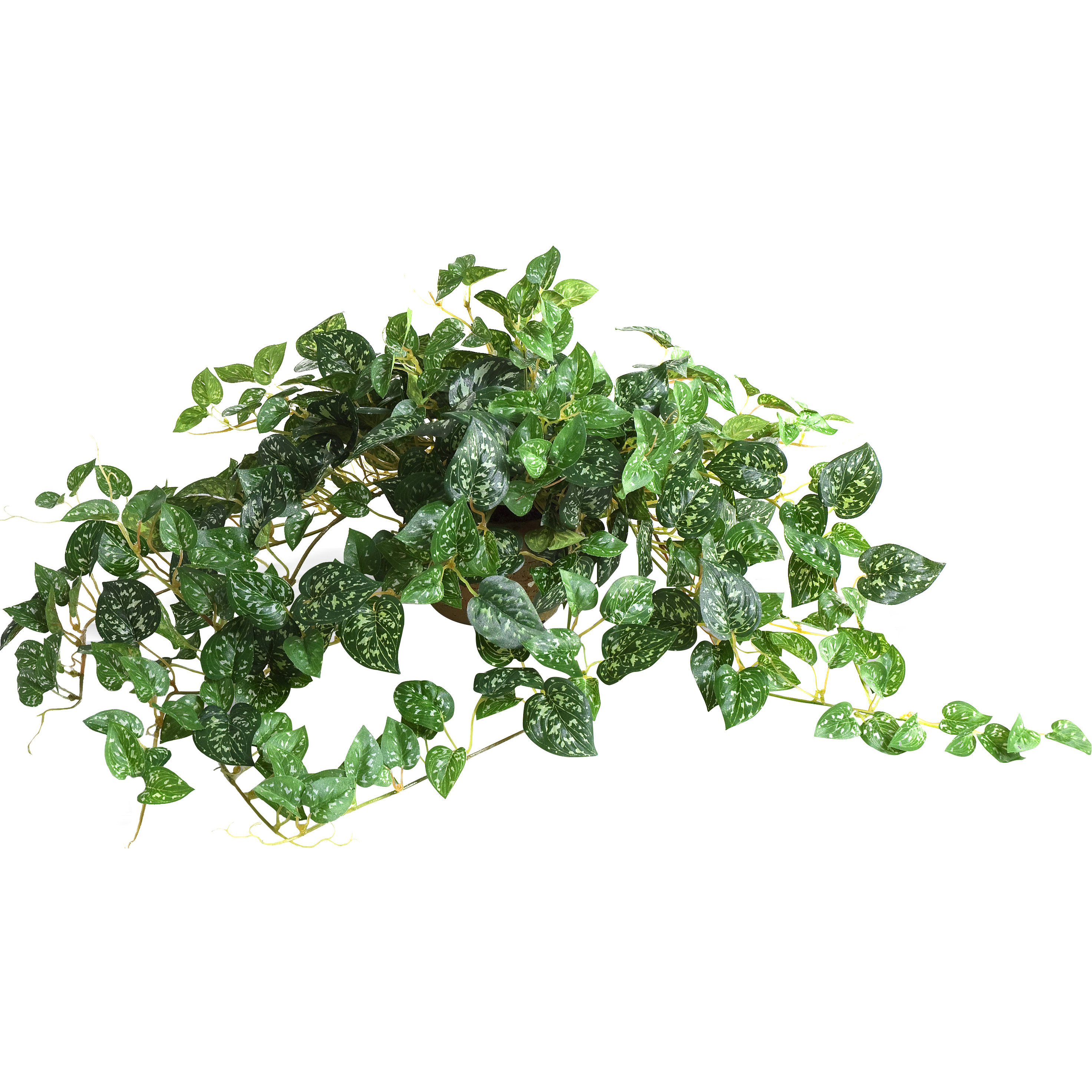 Three Posts Faux Pothos Vine in Clay Pot & Reviews Wayfair