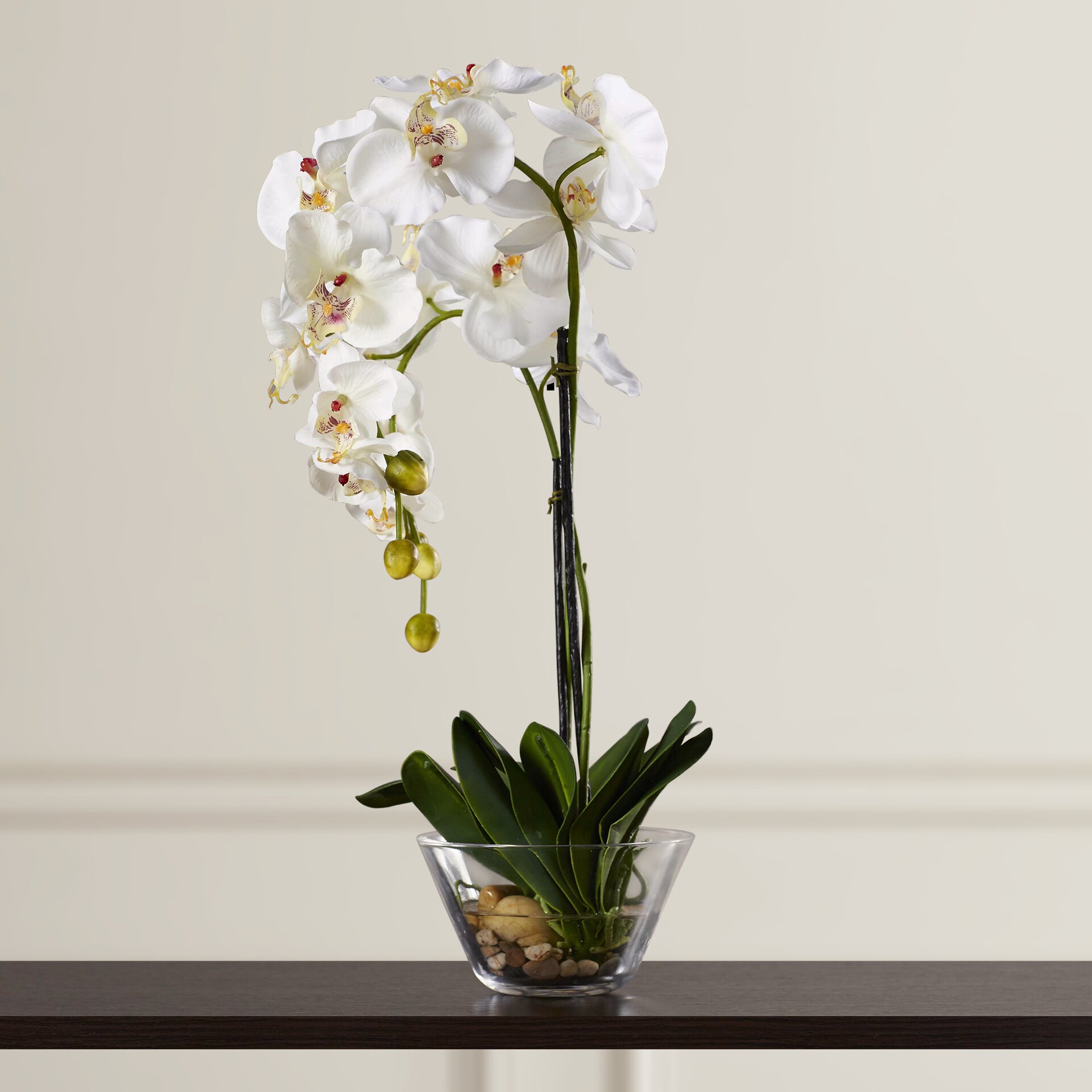 Three Posts Phalaenopsis Silk White Orchid in Glass Vase & Reviews ...