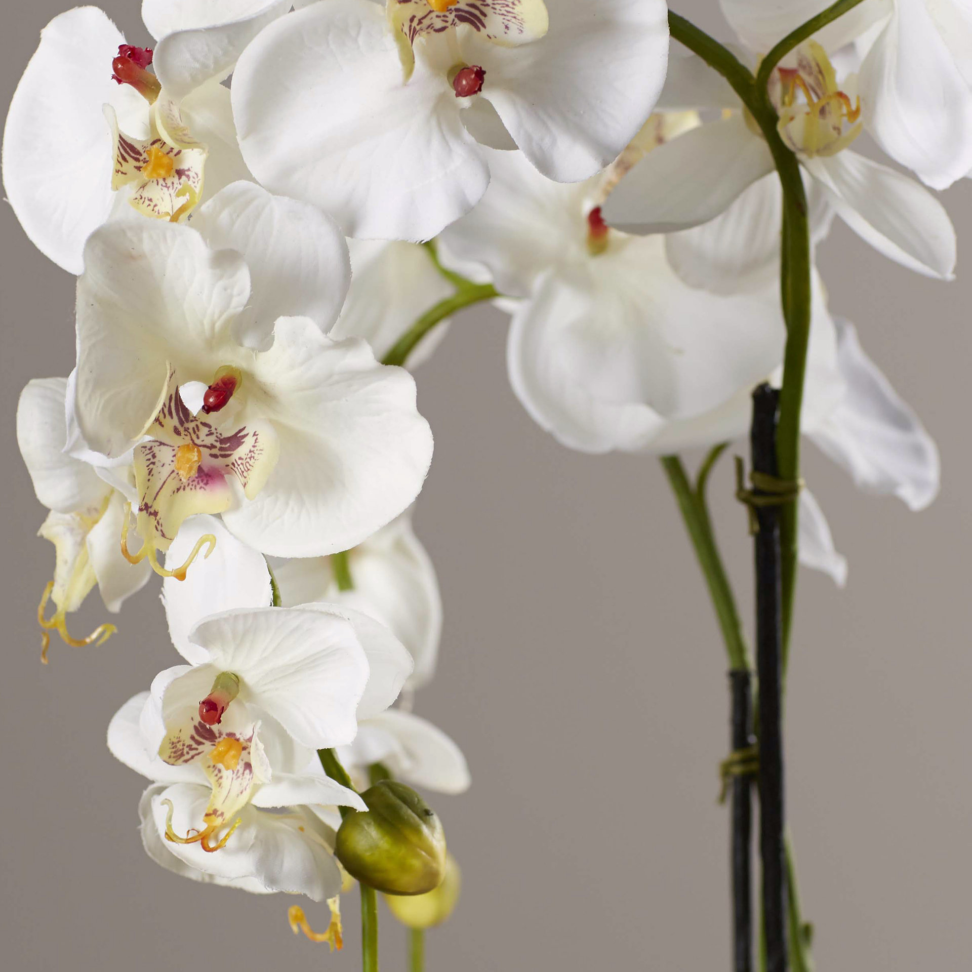 Three Posts Phalaenopsis Silk White Orchid in Glass Vase & Reviews