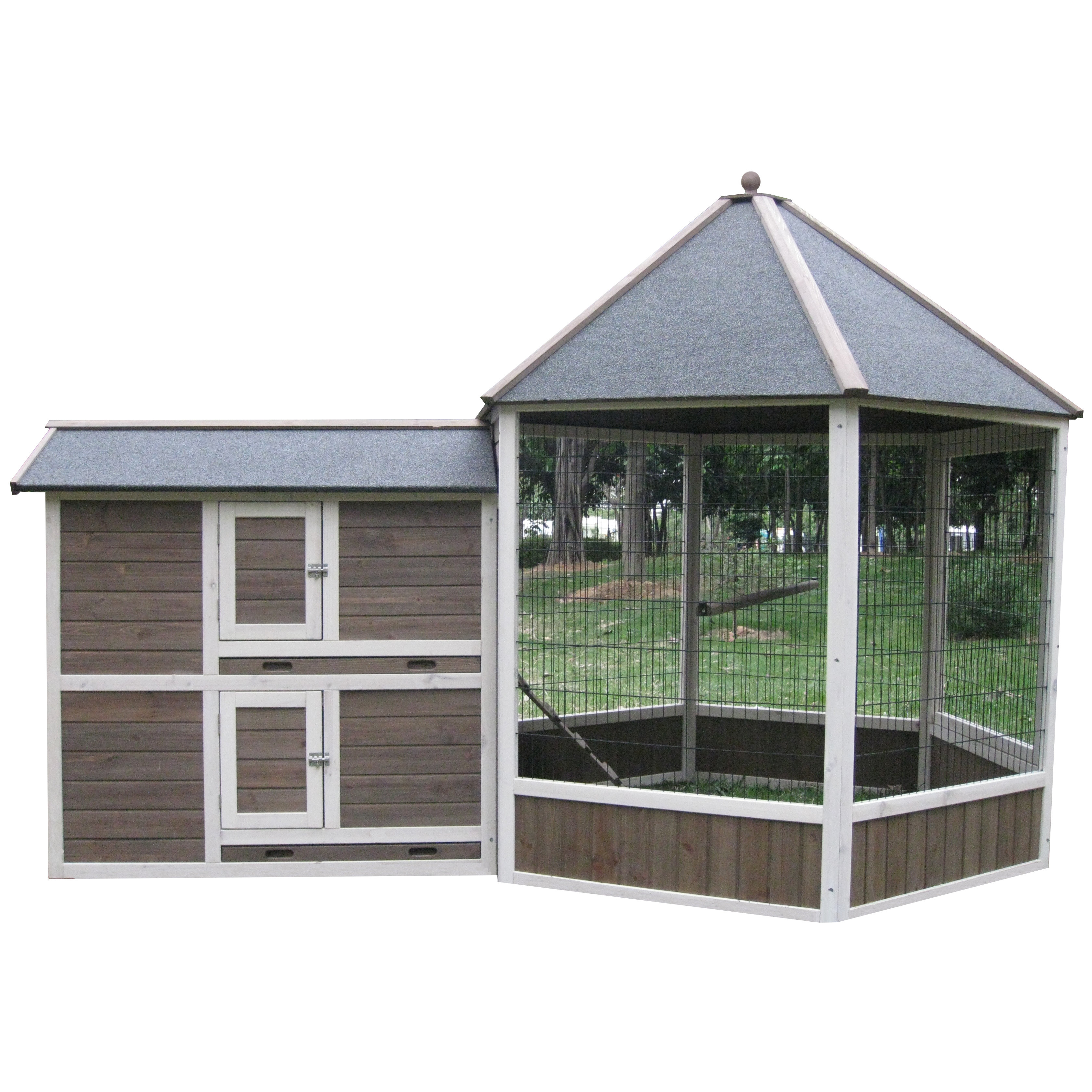 Innovation Pet Coops & Feathers Gazebo Chicken Coop & Reviews Wayfair