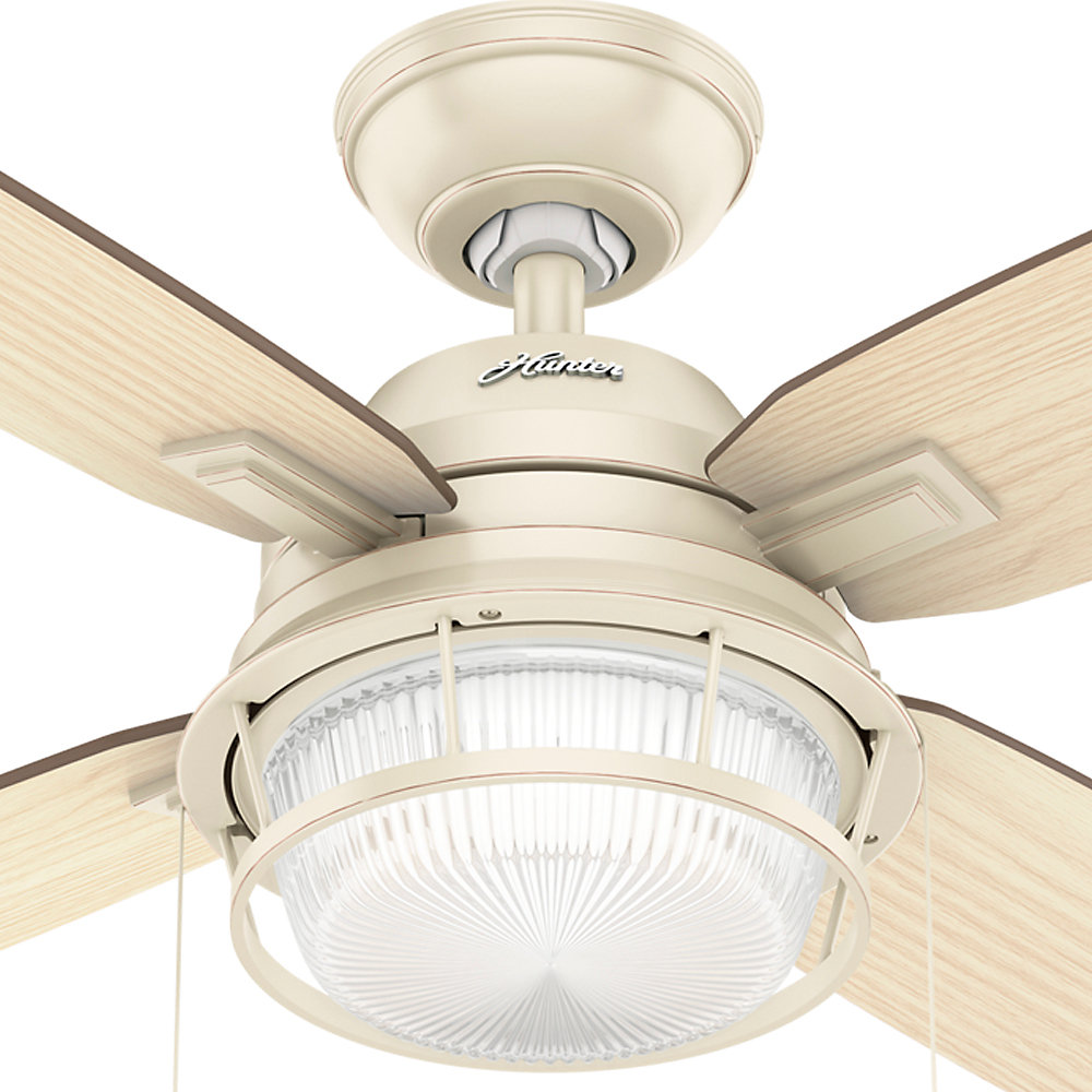 Hunter Fan 52" Ocala 4 Blade Ceiling Fan & Reviews Wayfair