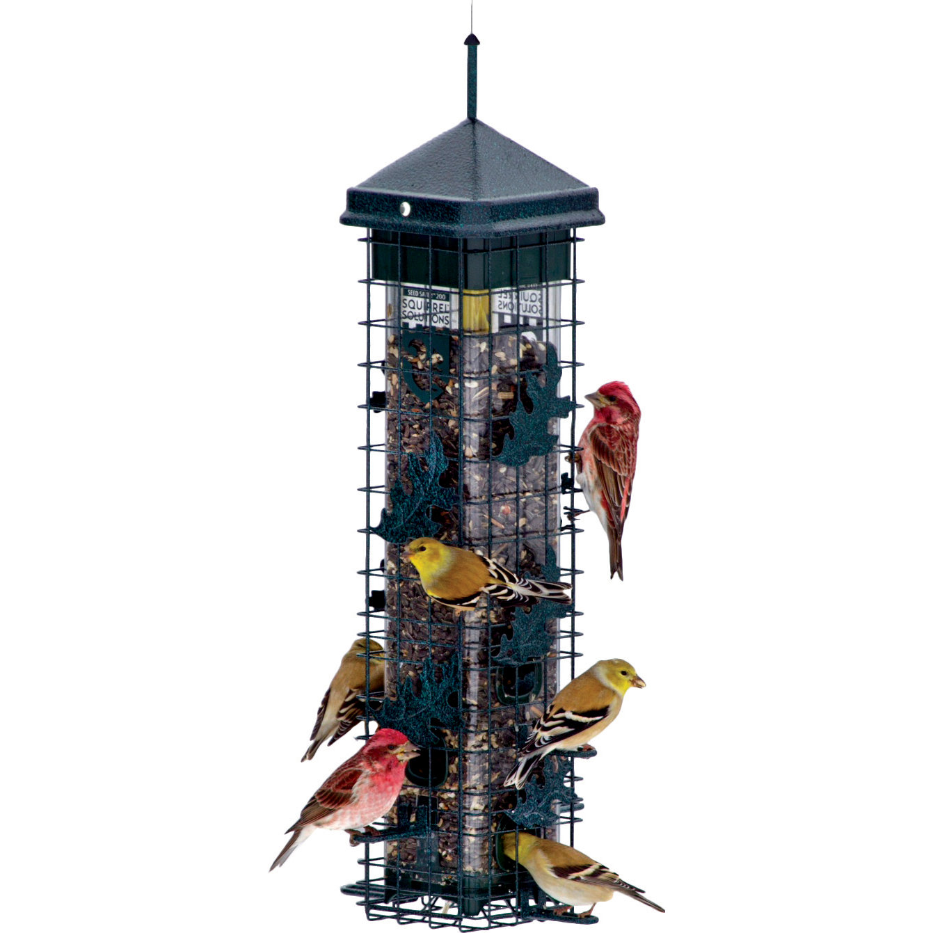 plow hearth squirrel proof bird feeder reviews wayfair plow hearth squirrel proof bird feeder reviews wayfair