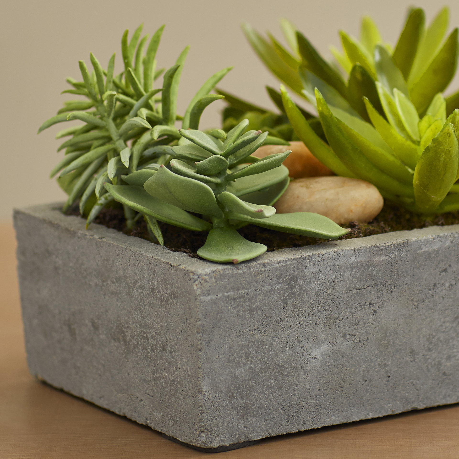 Mercury Row Succulent Floor Plant in Concrete Planter & Reviews Wayfair