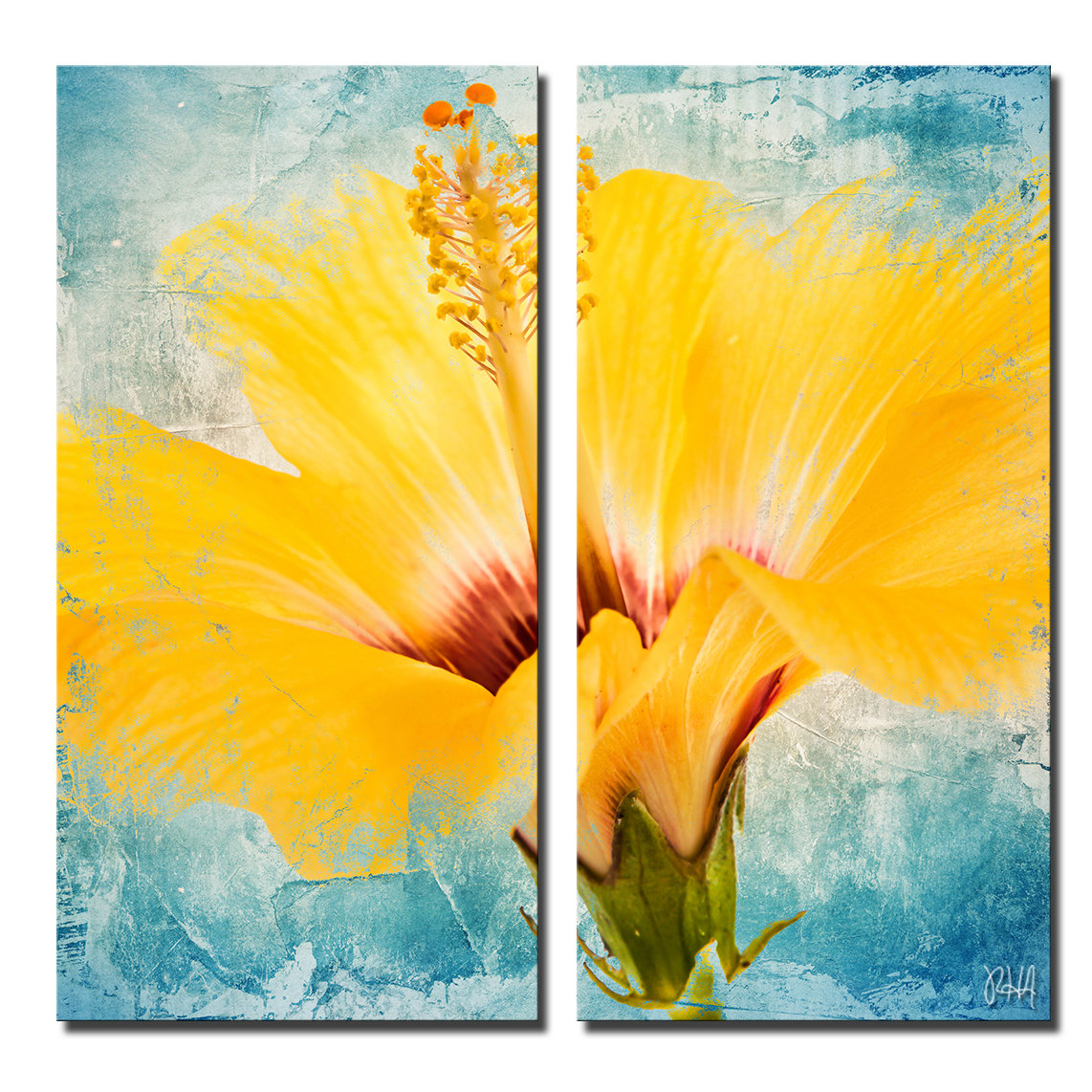 Ready2hangart 'Painted Petals XVII' by Ready2HangArt™ 2 Piece Painting