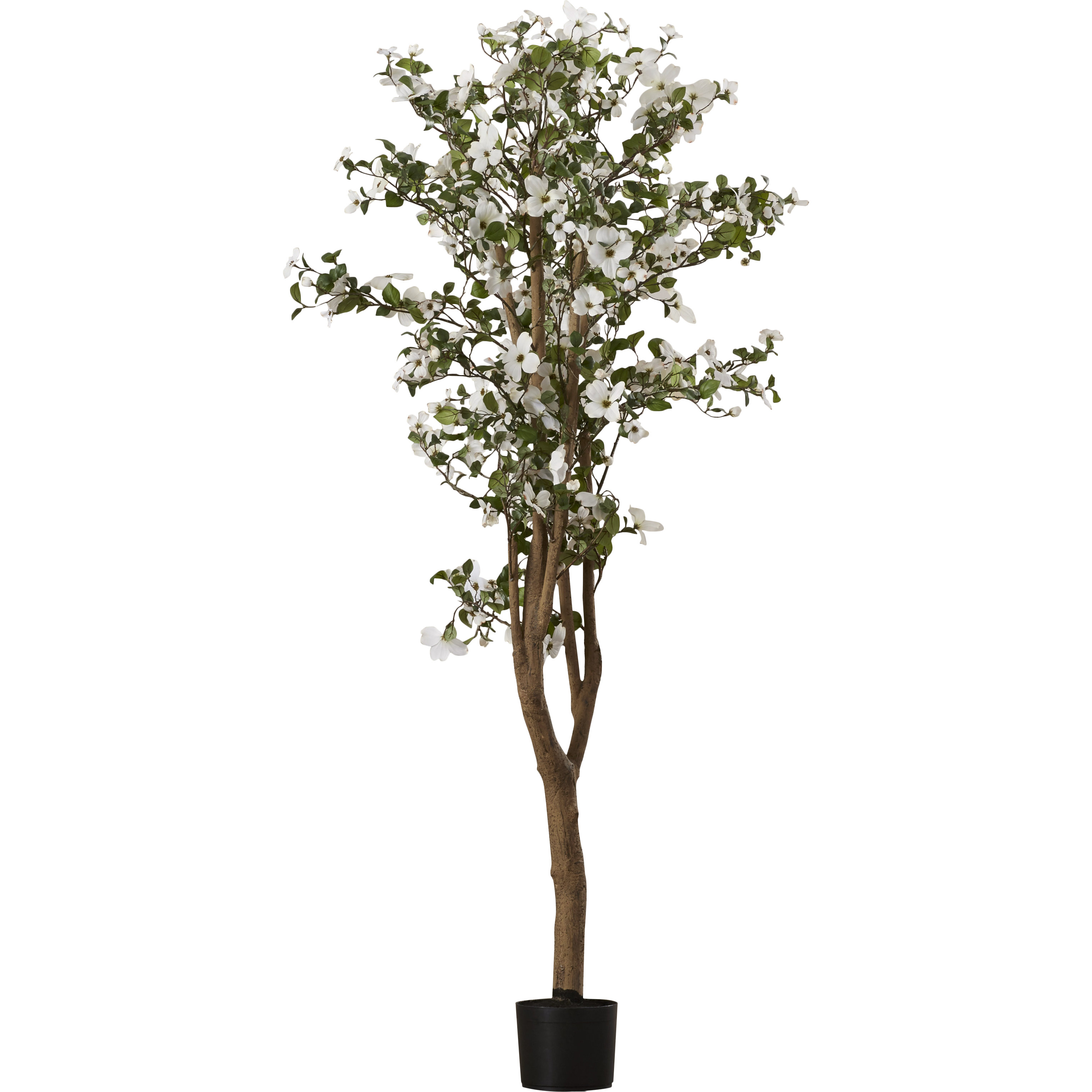 Red Barrel Studio Silk Dogwood Tree in Pot & Reviews Wayfair