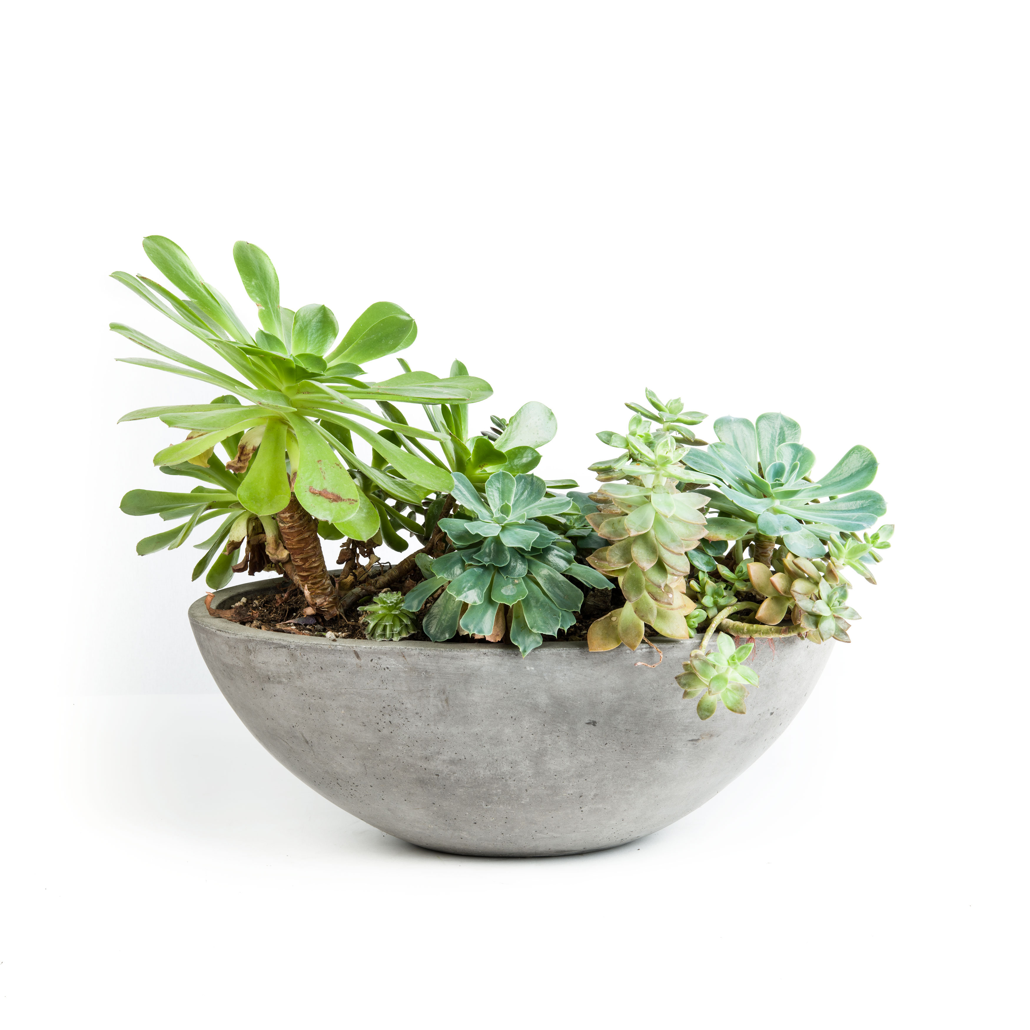My Spirit Garden Yano 3 Piece Oval Pot Planter Set