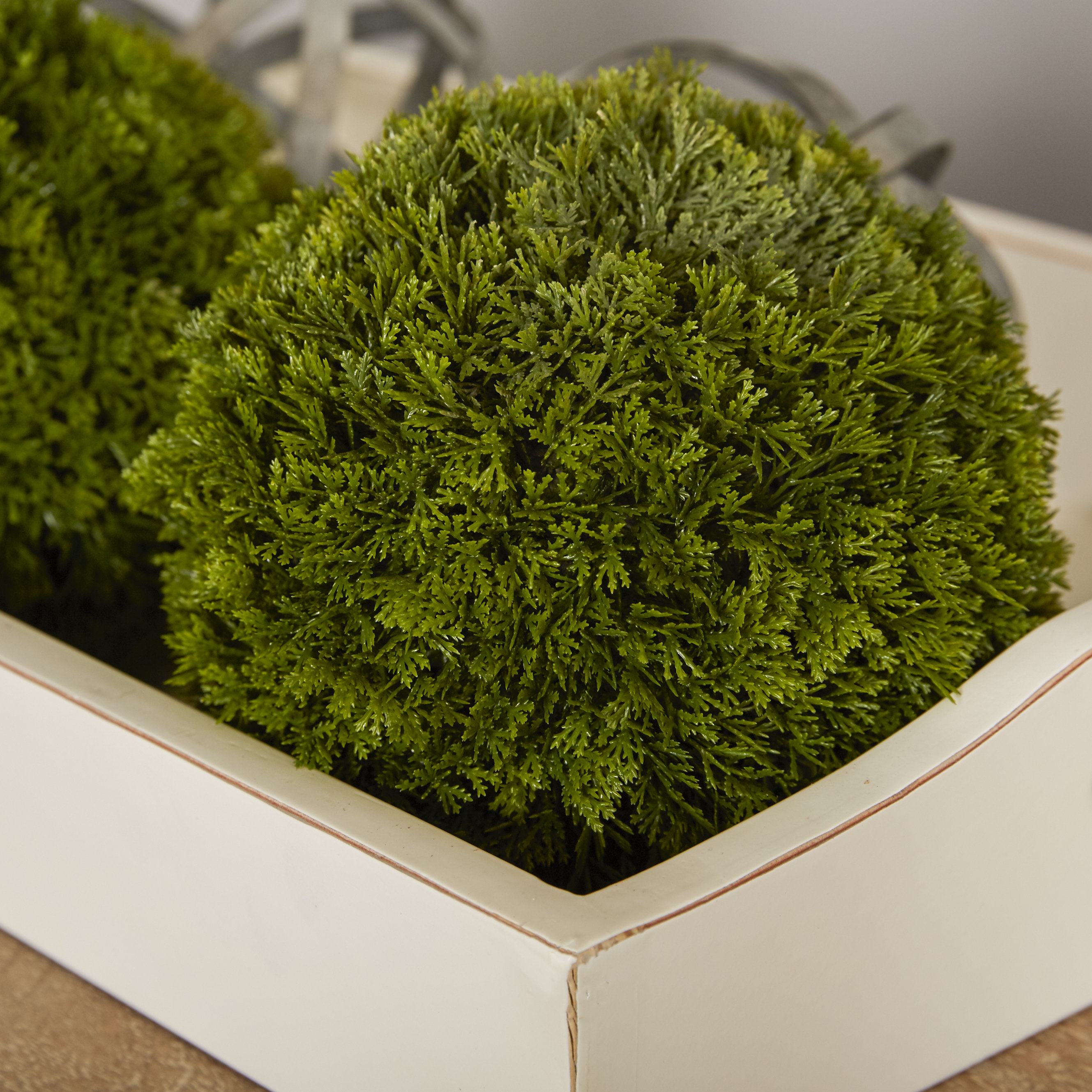 Boston International Evergreen Garden Ball & Reviews Wayfair