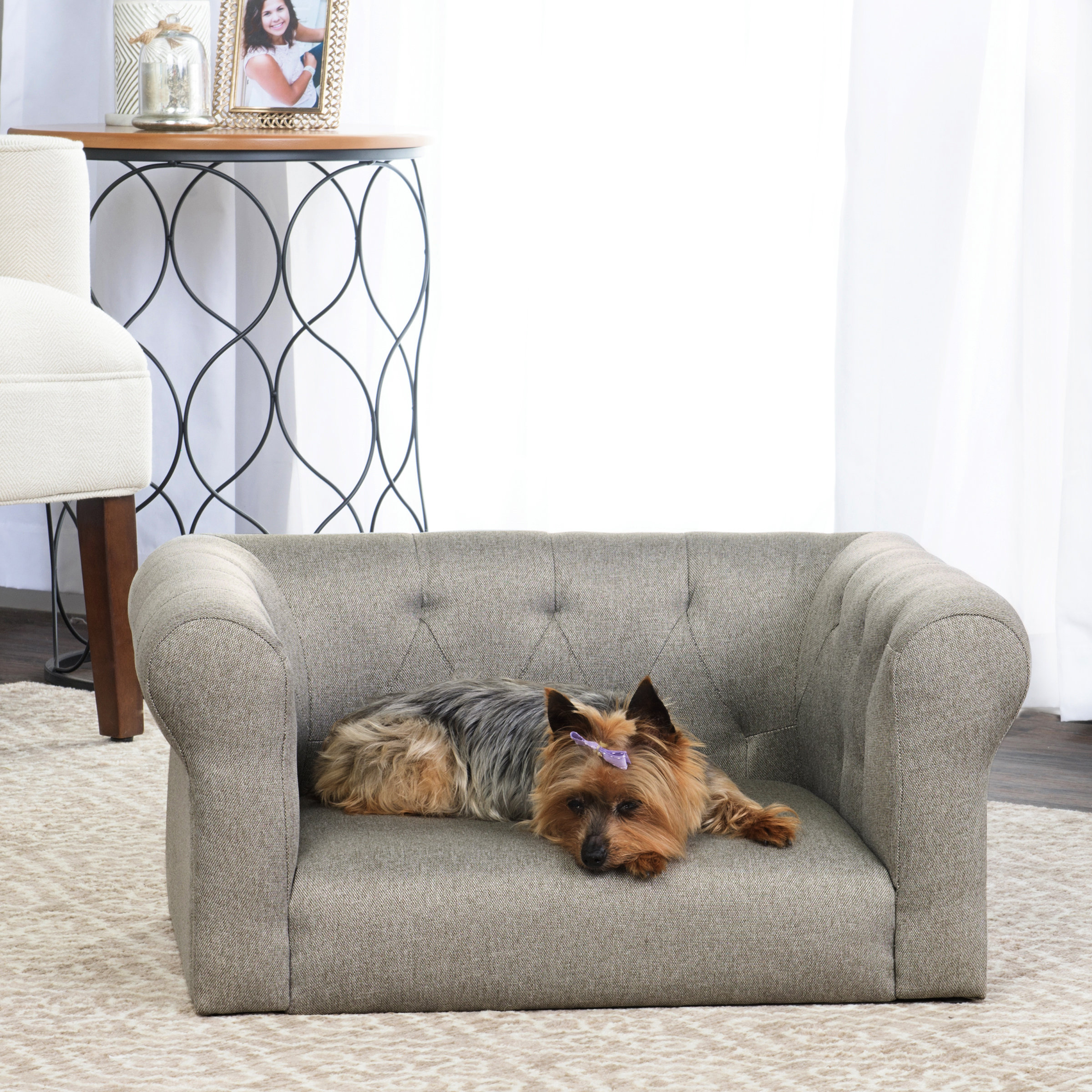 HomePop Sophisticated Decorative Dog Sofa Wayfair