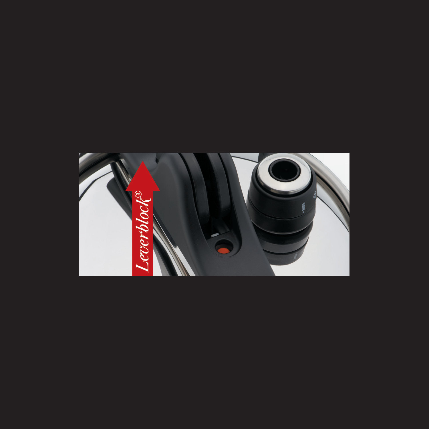 Homework help on quarts to liters