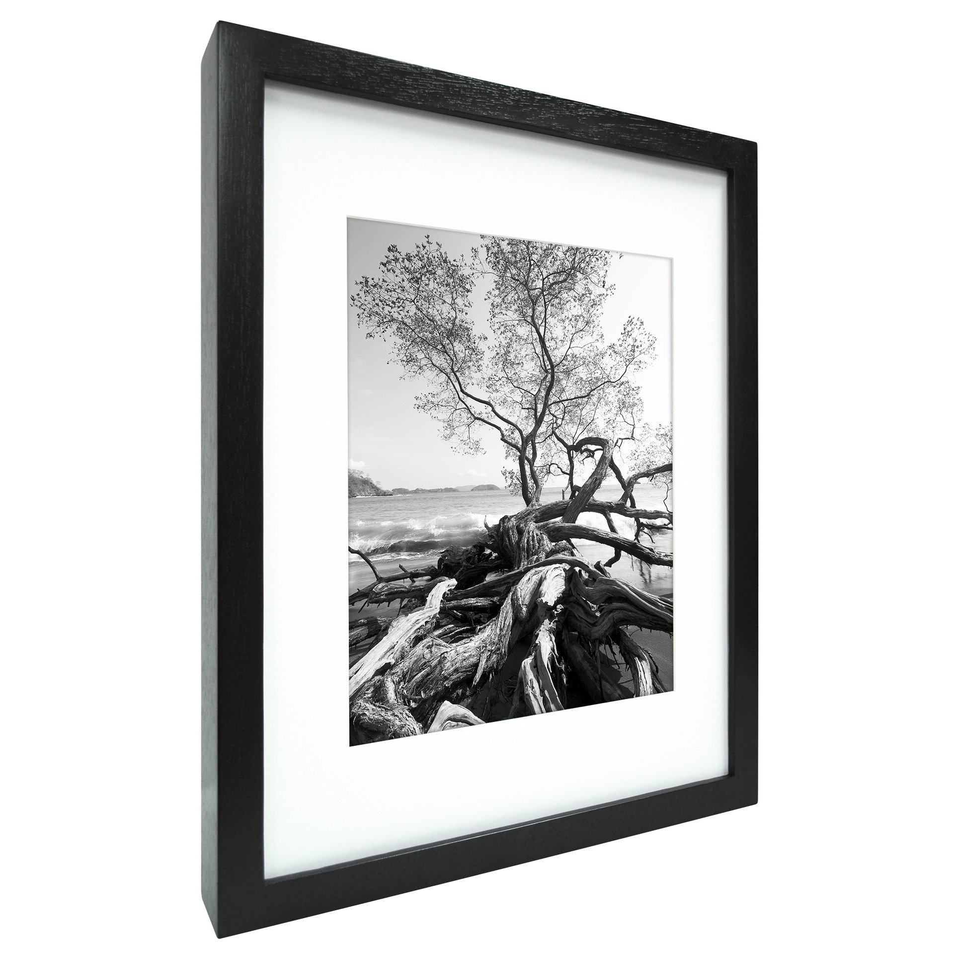 MCSIndustries Art Shadowbox Picture Frame & Reviews Wayfair