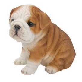 bulldog puppy statue