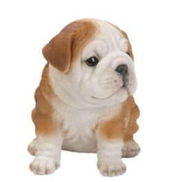 bulldog puppy statue